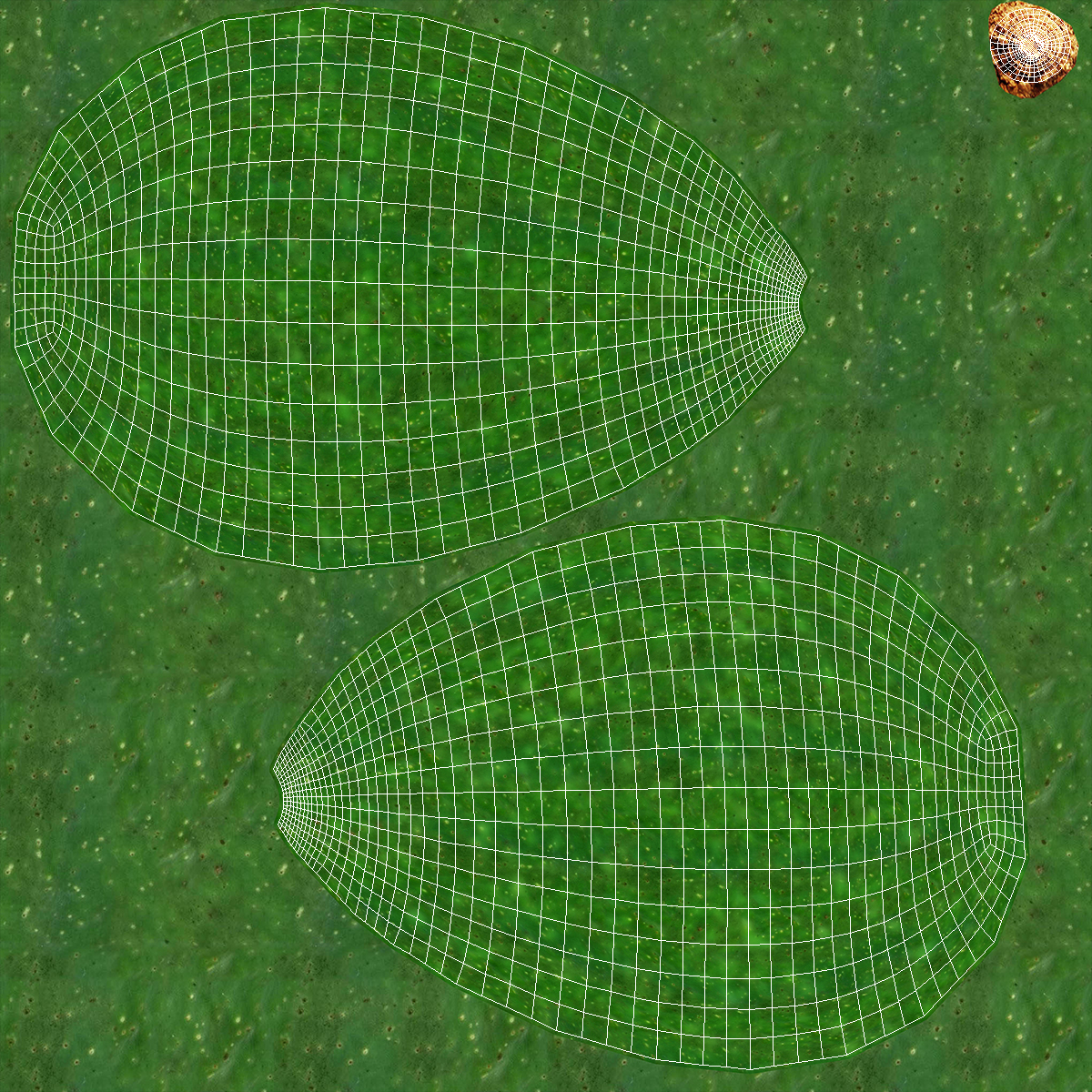 Avocado Fuerte 3D model