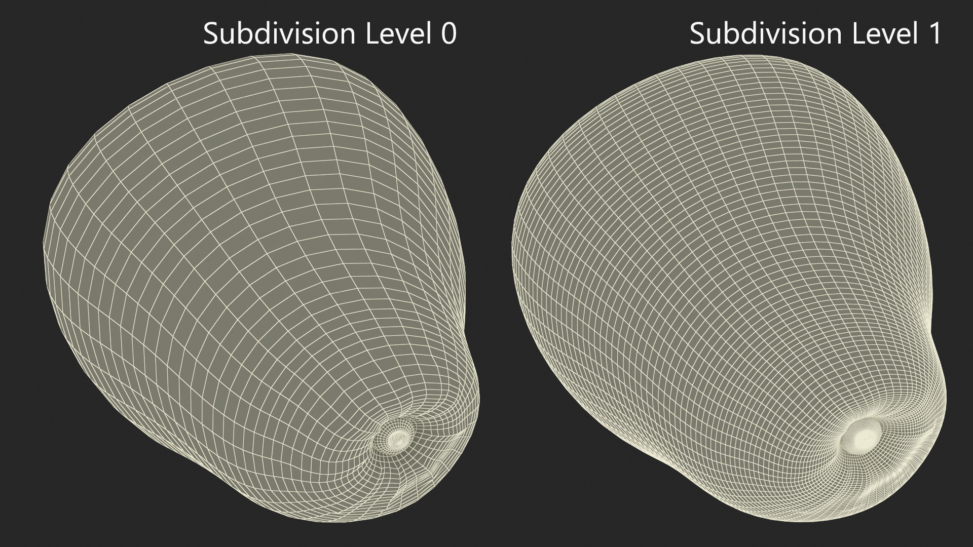 Avocado Fuerte 3D model