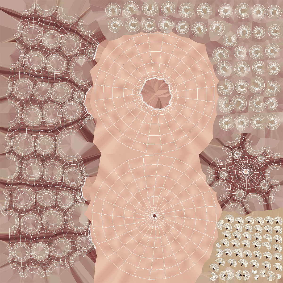 3D model Decorative Pink Sputnik Sea Urchin Shell