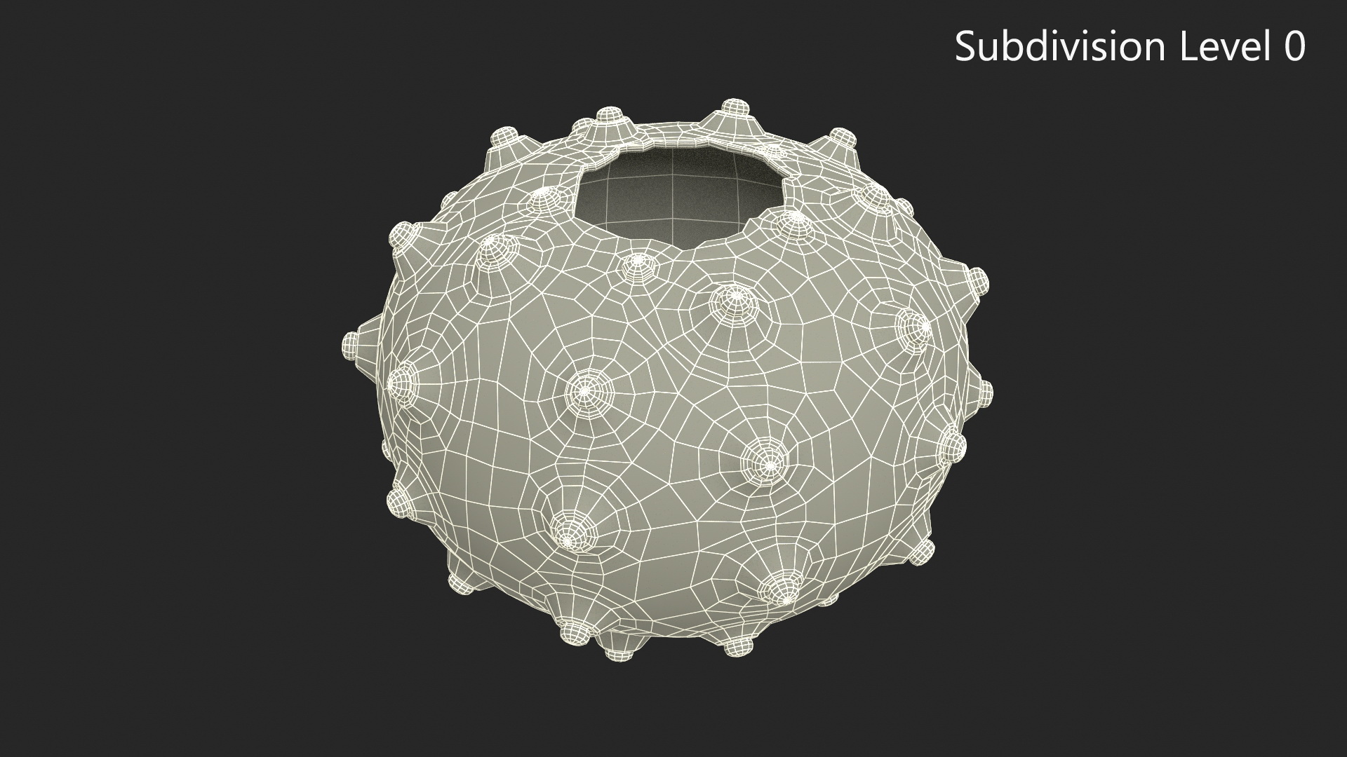 3D model Decorative Pink Sputnik Sea Urchin Shell