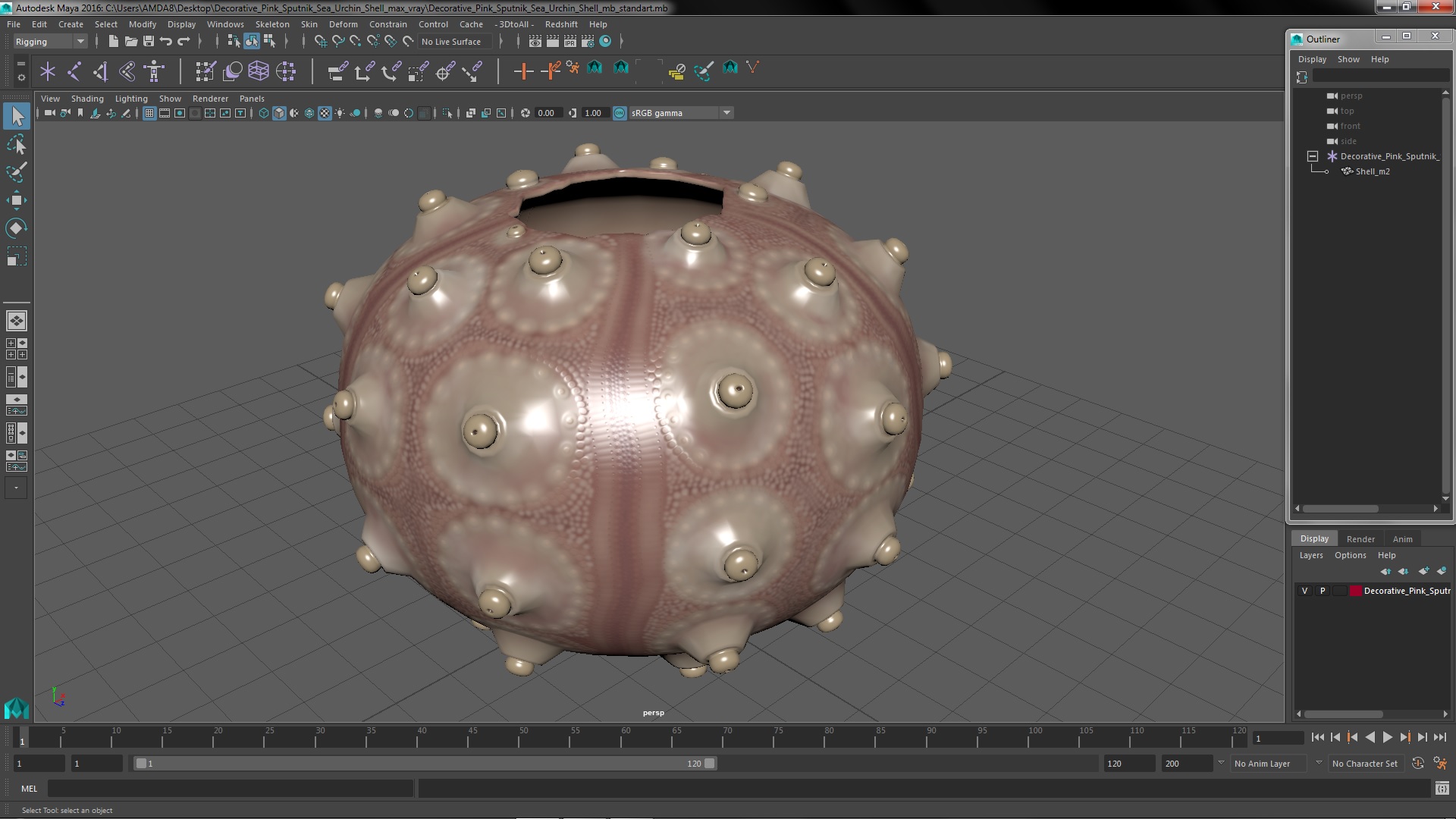 3D model Decorative Pink Sputnik Sea Urchin Shell