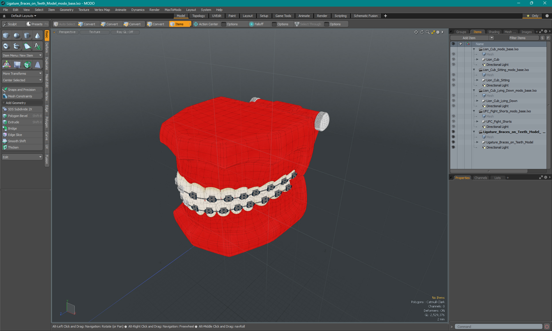 3D model Ligature Braces on Teeth Model