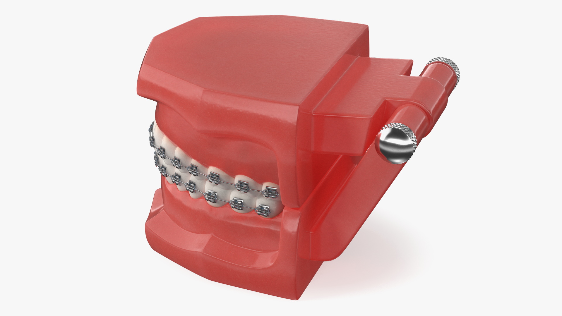 3D model Ligature Braces on Teeth Model