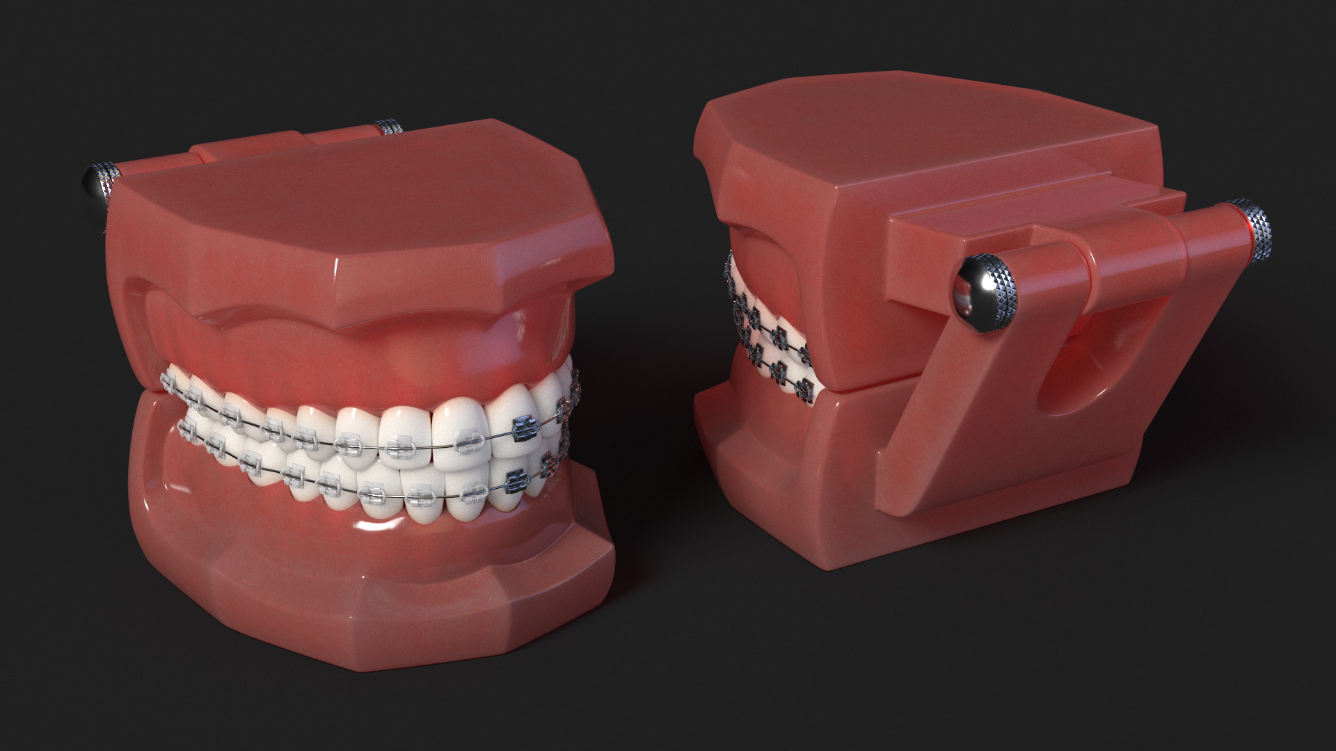 3D model Ligature Braces on Teeth Model