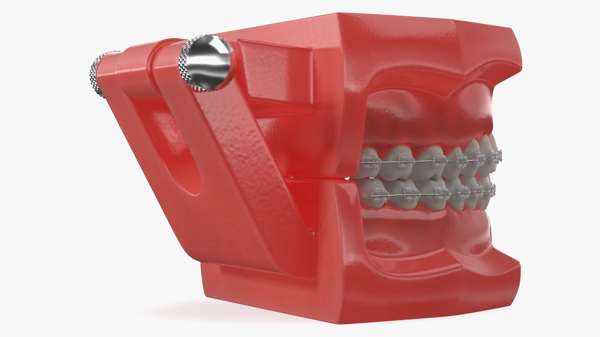 3D model Ligature Braces on Teeth Model