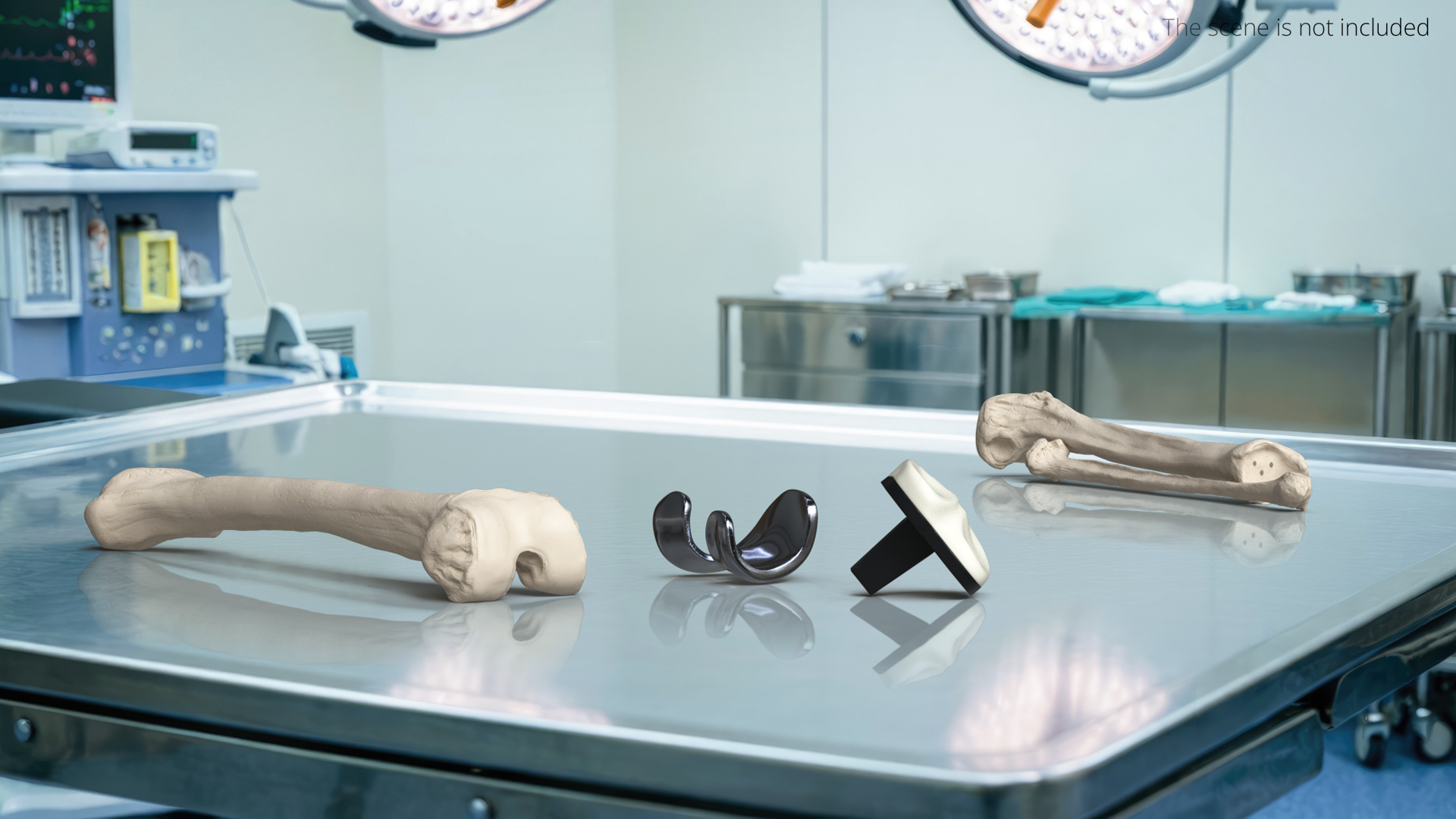 Knee Joint Implant with Femur Tibia and Fibula, view 2