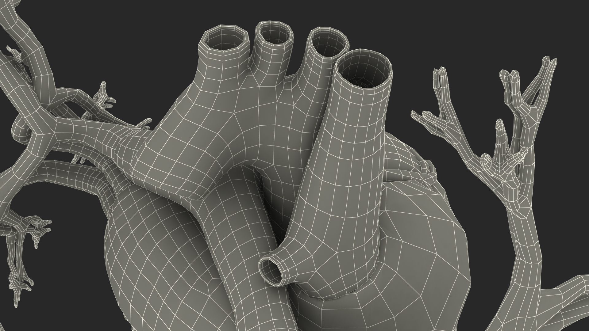 Female Heart 3D