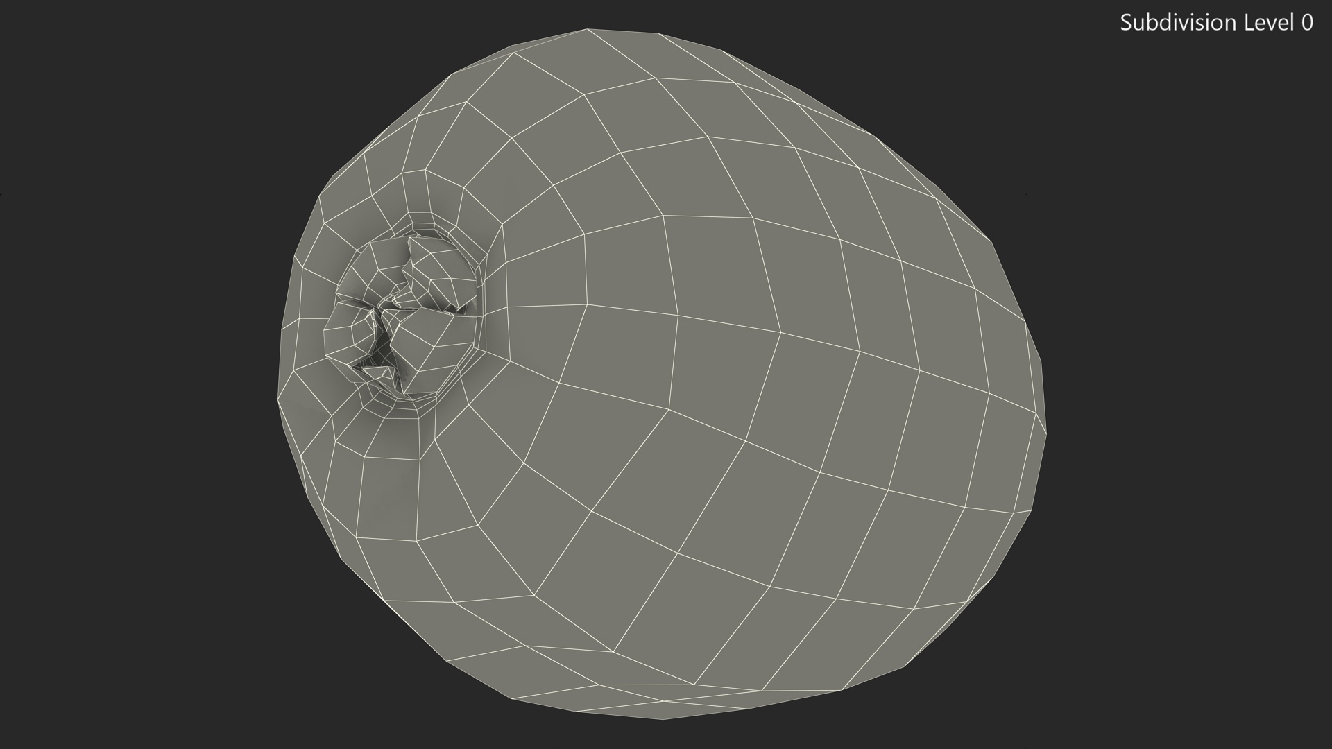 3D Kiwi with Fur model