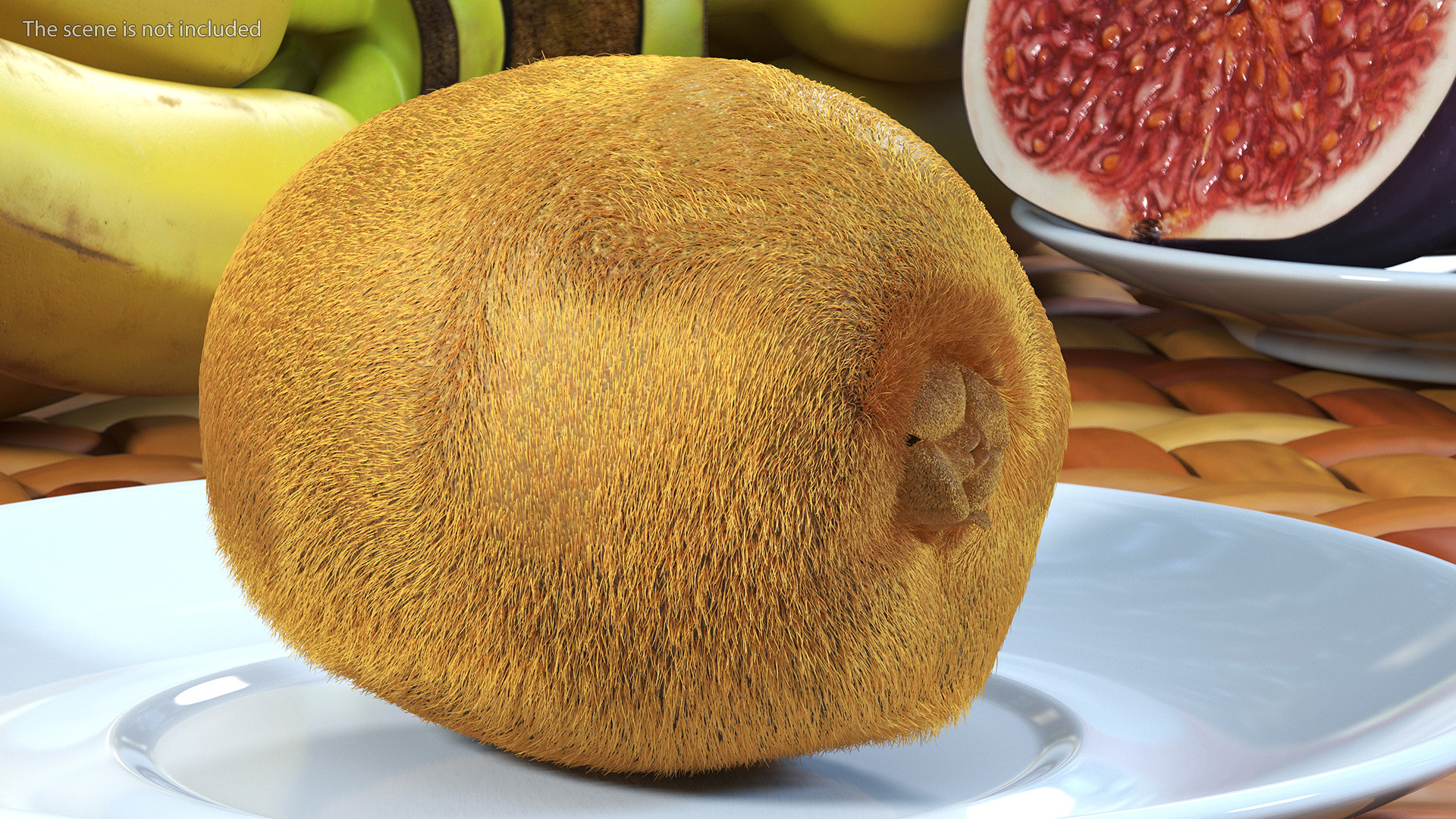 3D Kiwi with Fur model