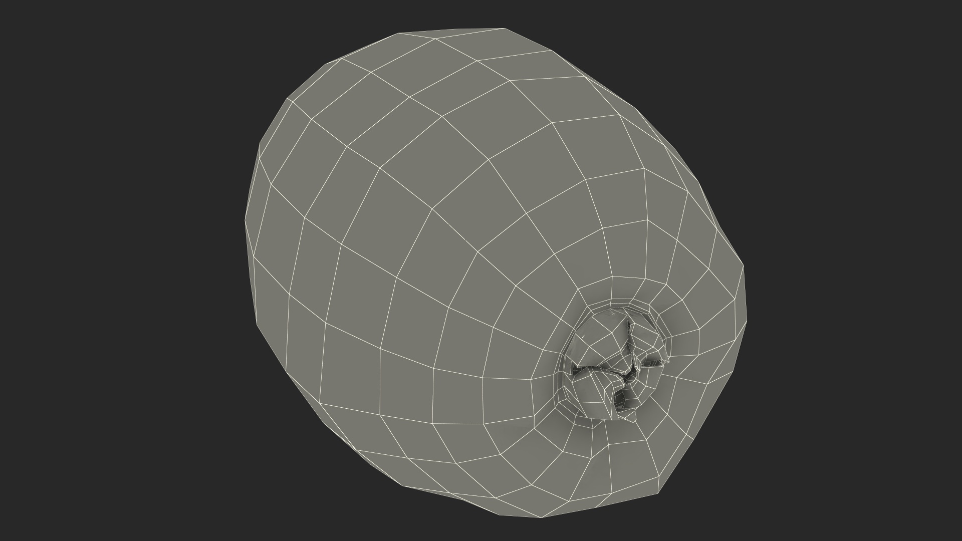 3D Kiwi with Fur model