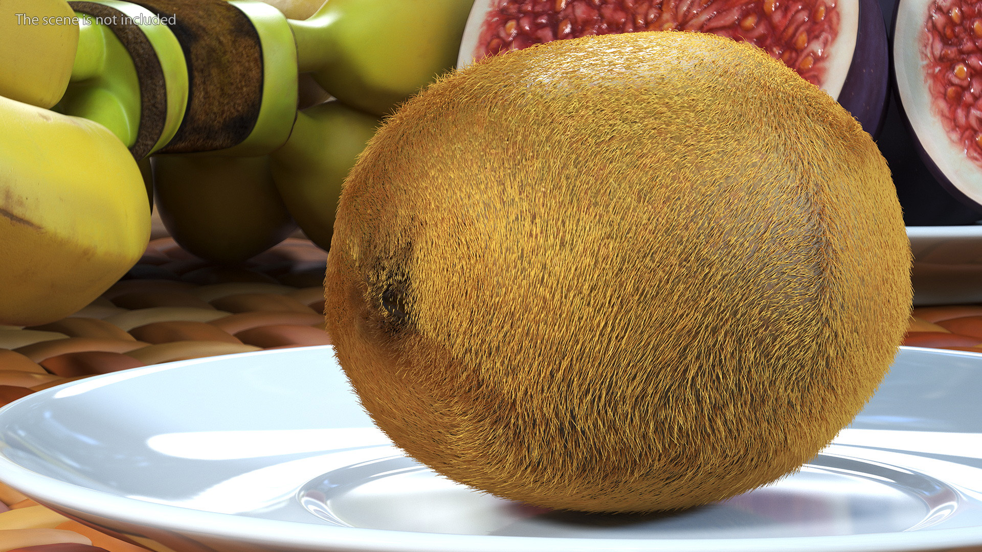 3D Kiwi with Fur model