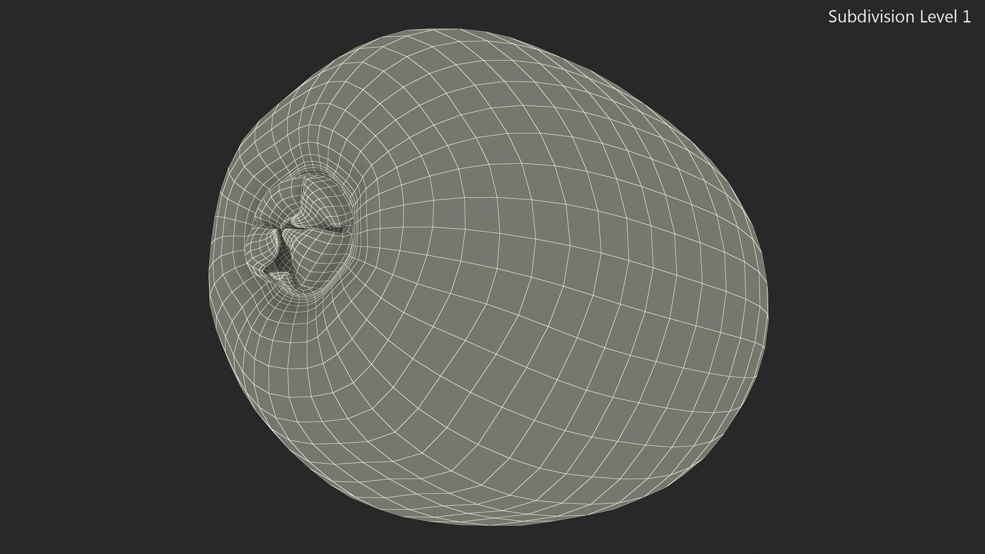 3D Kiwi with Fur model