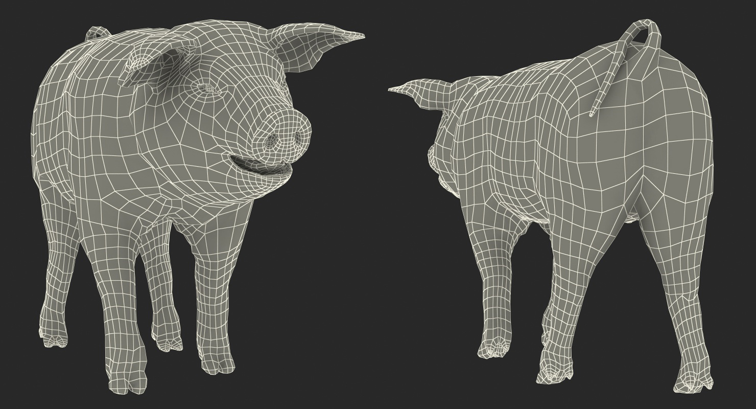Pig Piglet Pietrain Walking Pose 3D