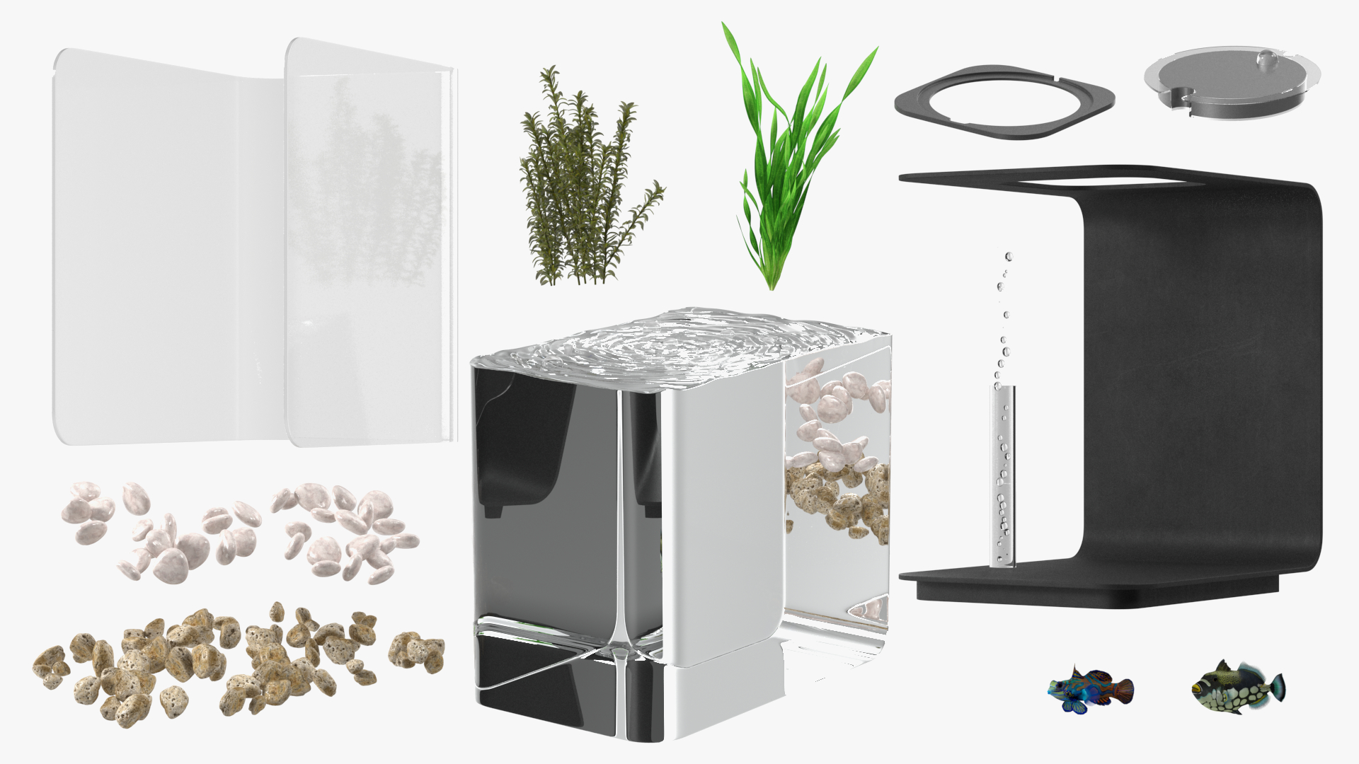 3D Designer Rectangle Aquarium Black with Fish model