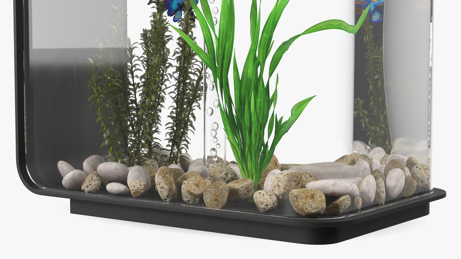 3D Designer Rectangle Aquarium Black with Fish model