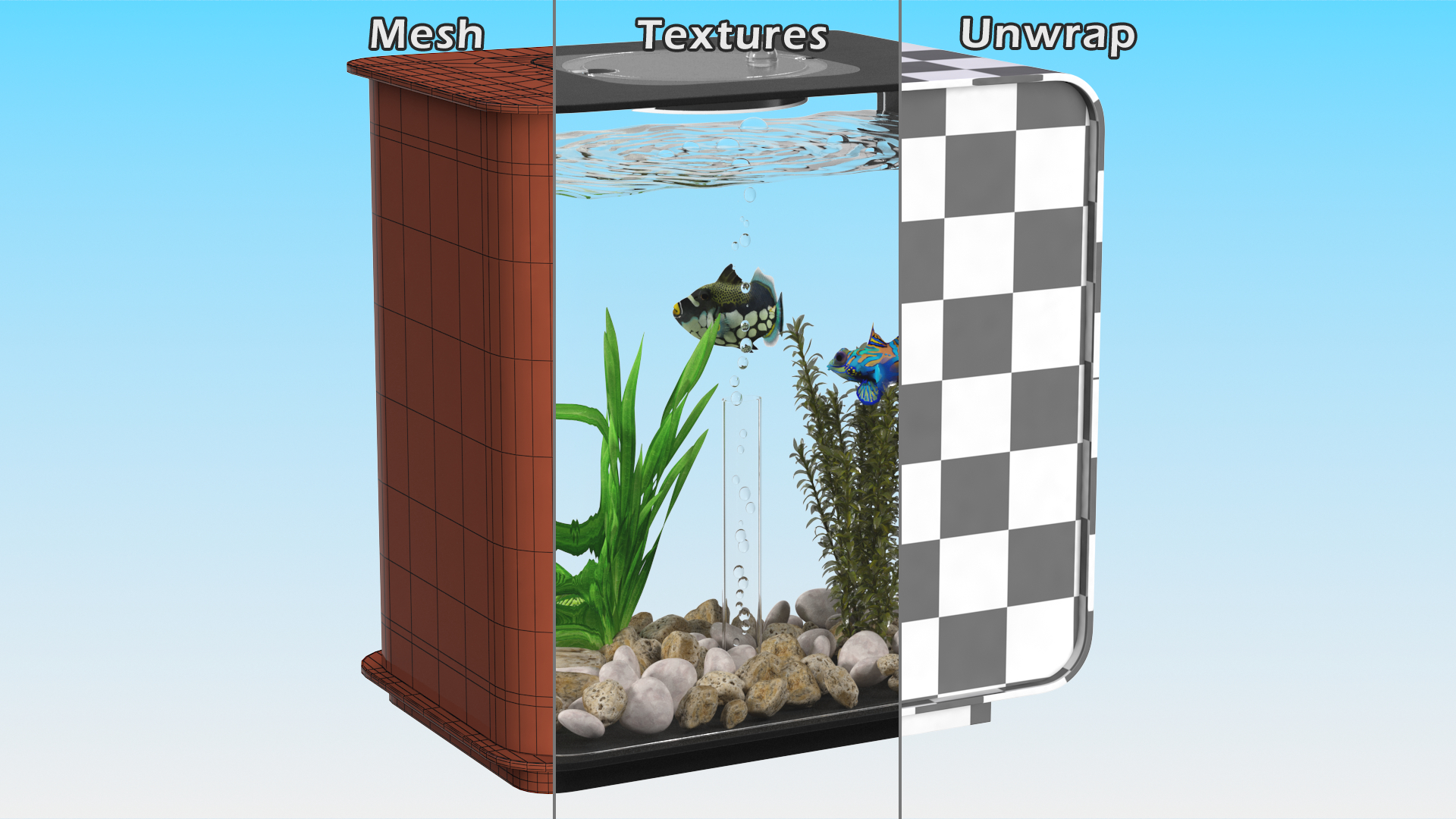 3D Designer Rectangle Aquarium Black with Fish model