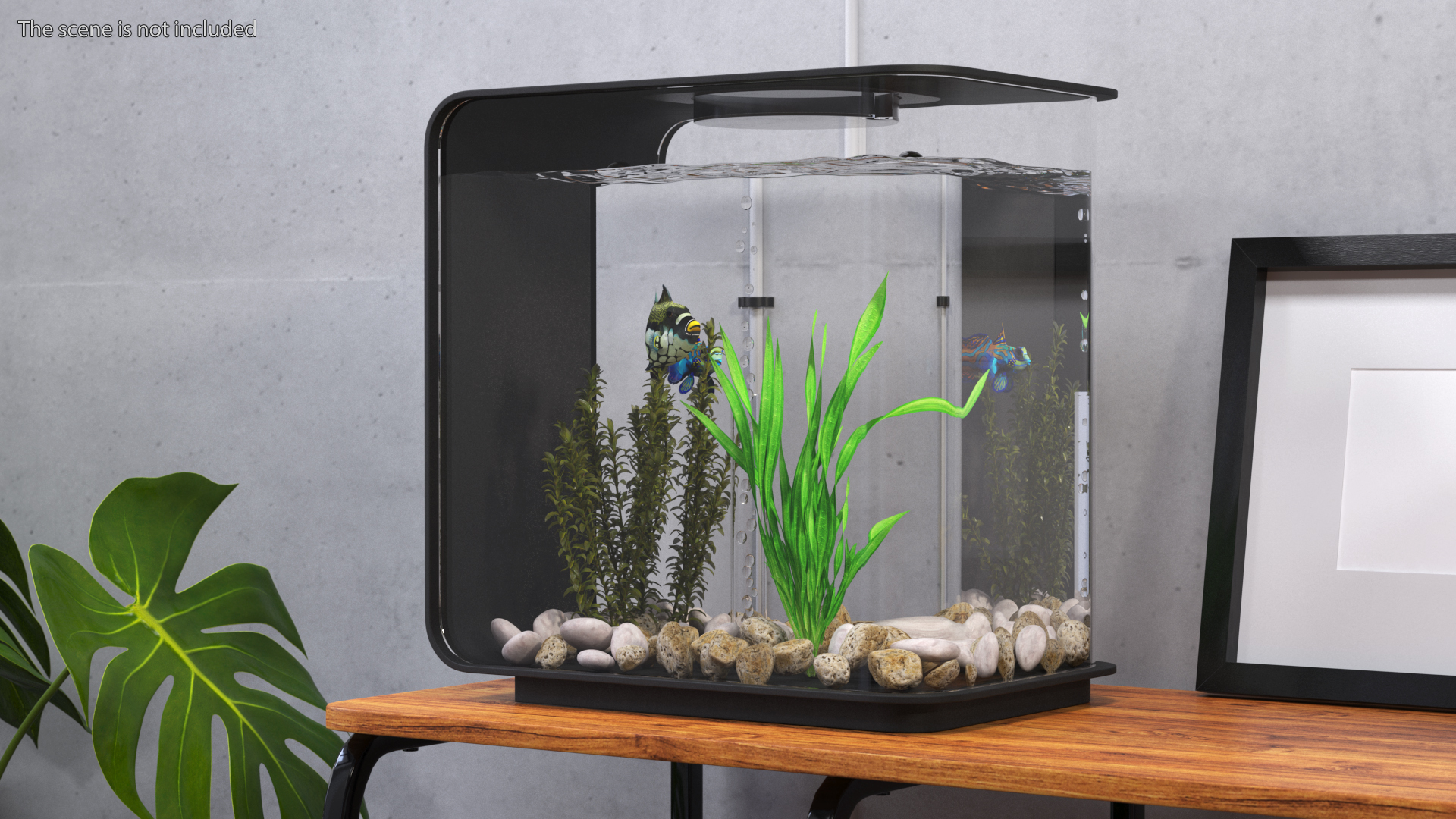 3D Designer Rectangle Aquarium Black with Fish model