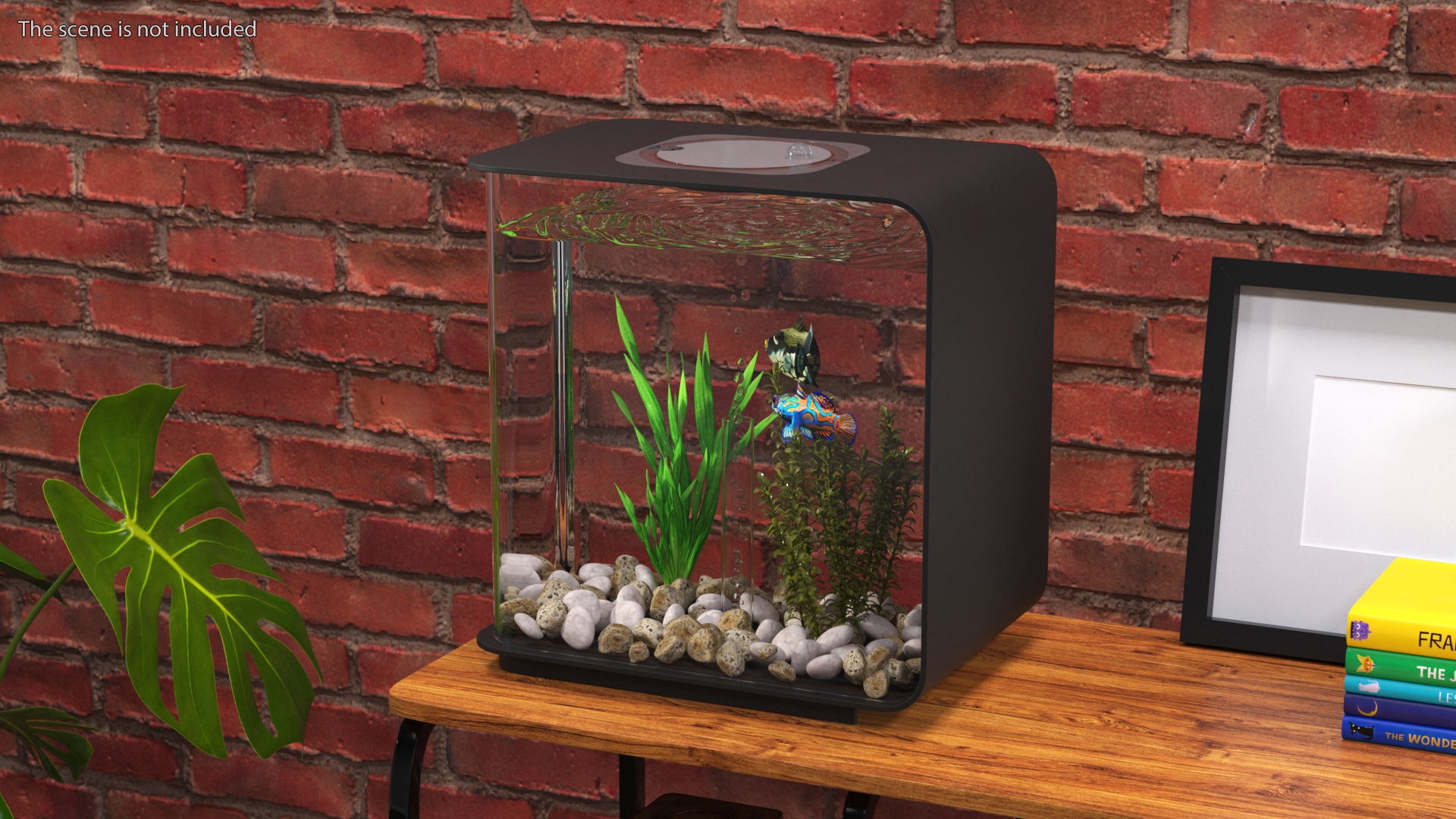 3D Designer Rectangle Aquarium Black with Fish model