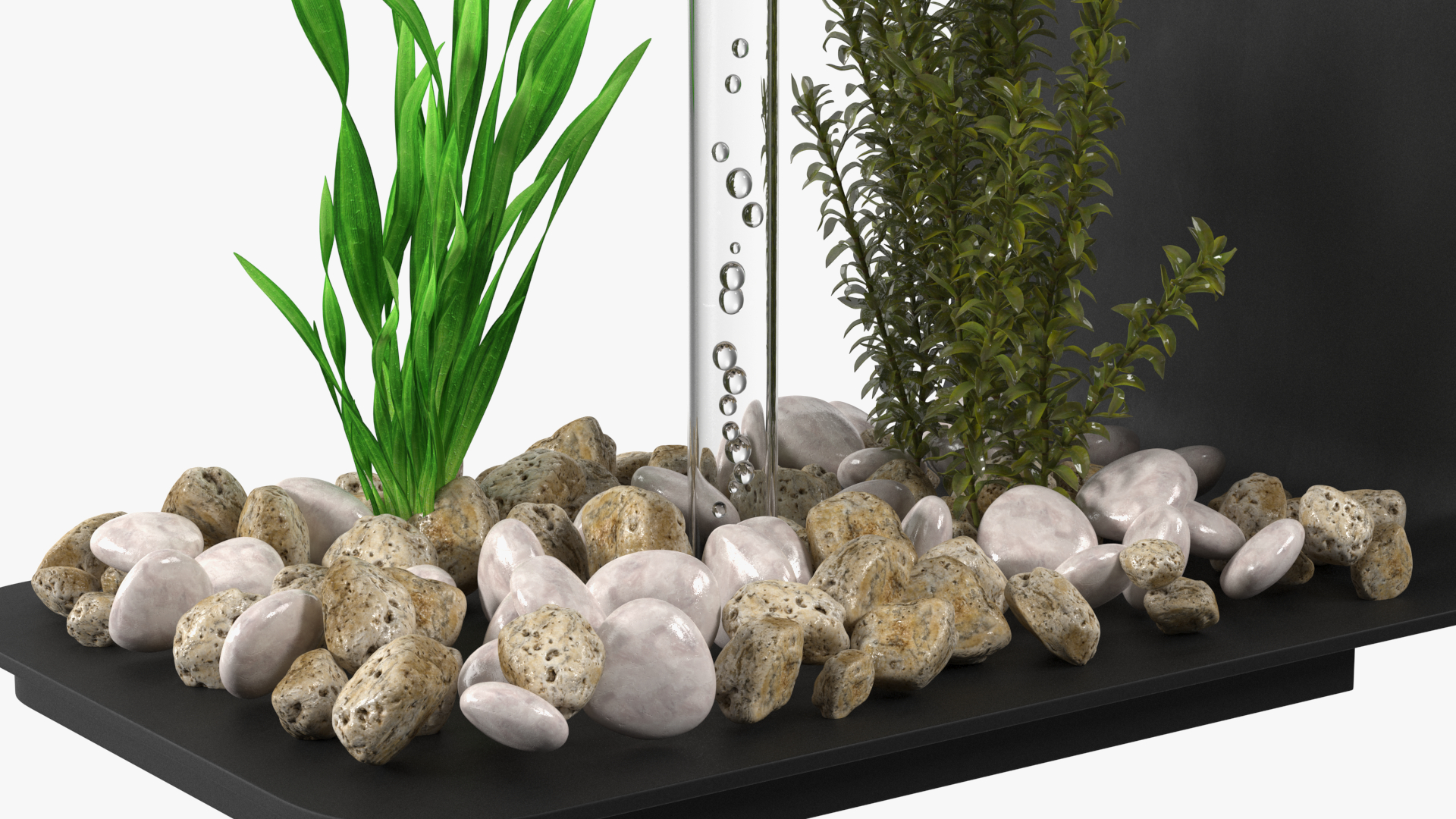 3D Designer Rectangle Aquarium Black with Fish model