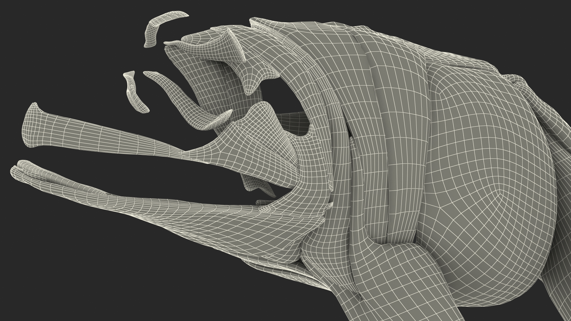 3D model Frog Anatomy Left Side Colored