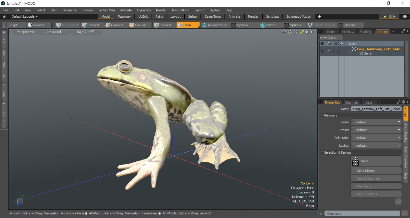 3D model Frog Anatomy Left Side Colored
