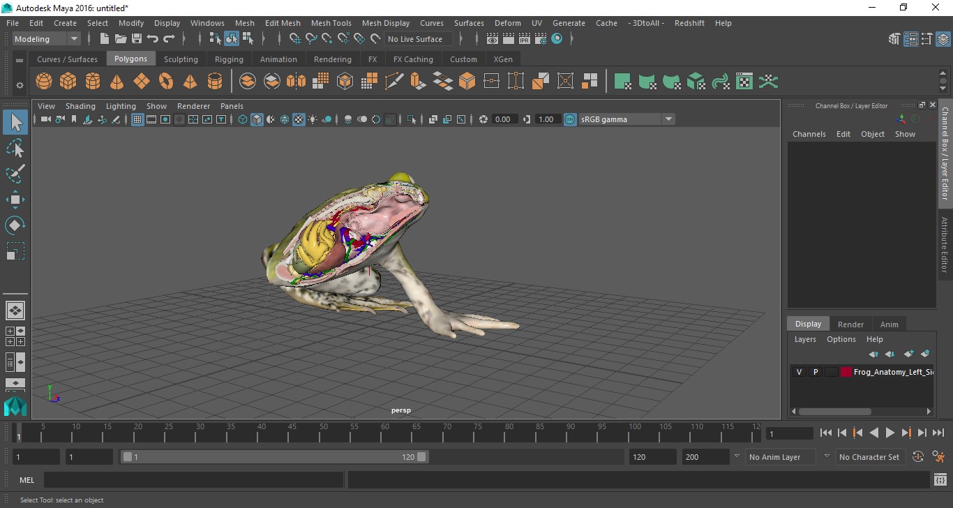 3D model Frog Anatomy Left Side Colored