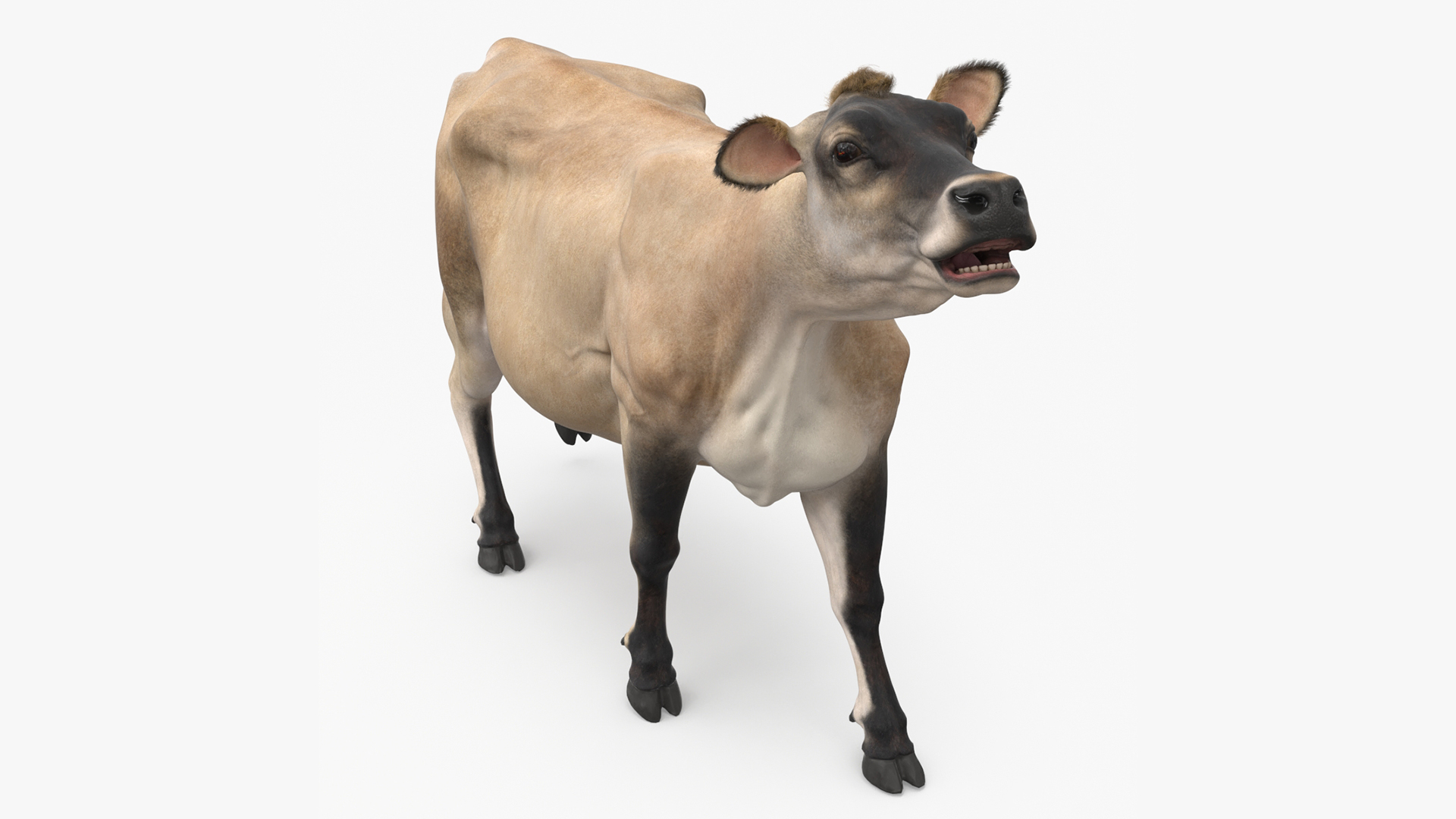 3D model Cream Cow Fur Rigged