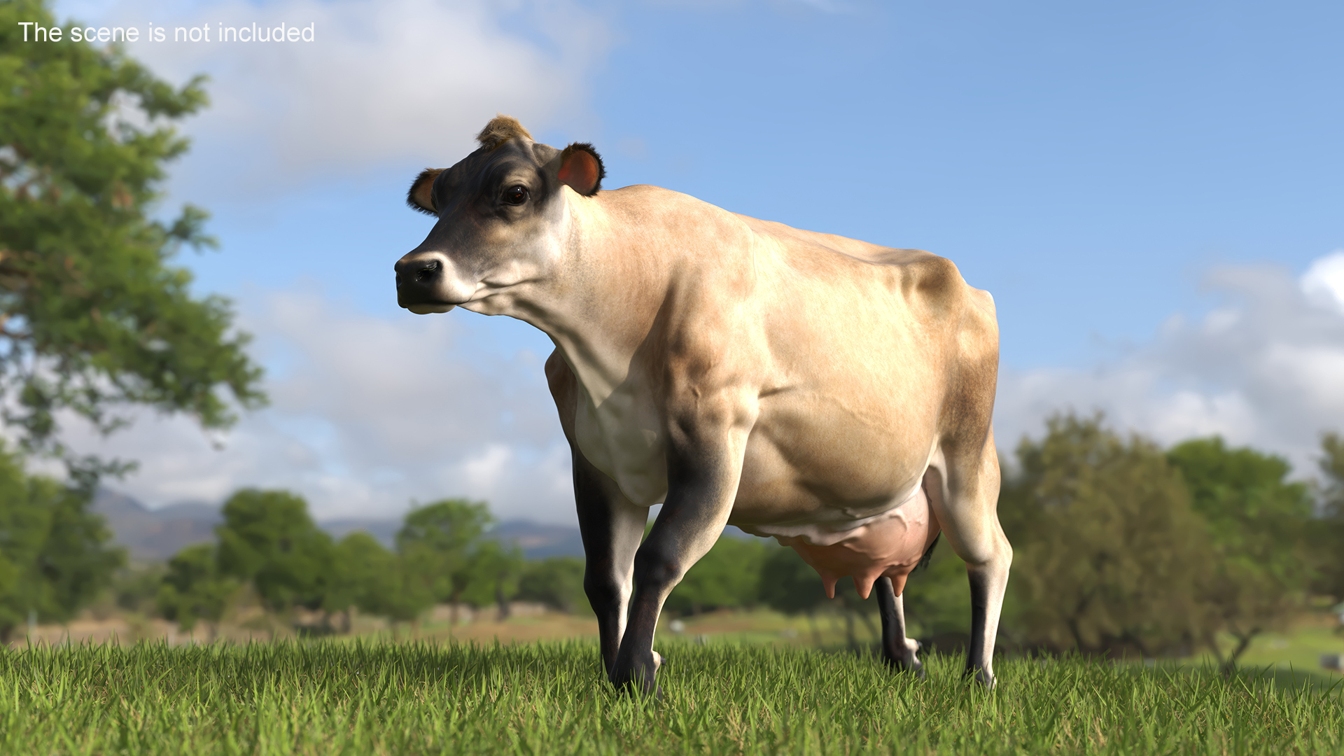 3D model Cream Cow Fur Rigged