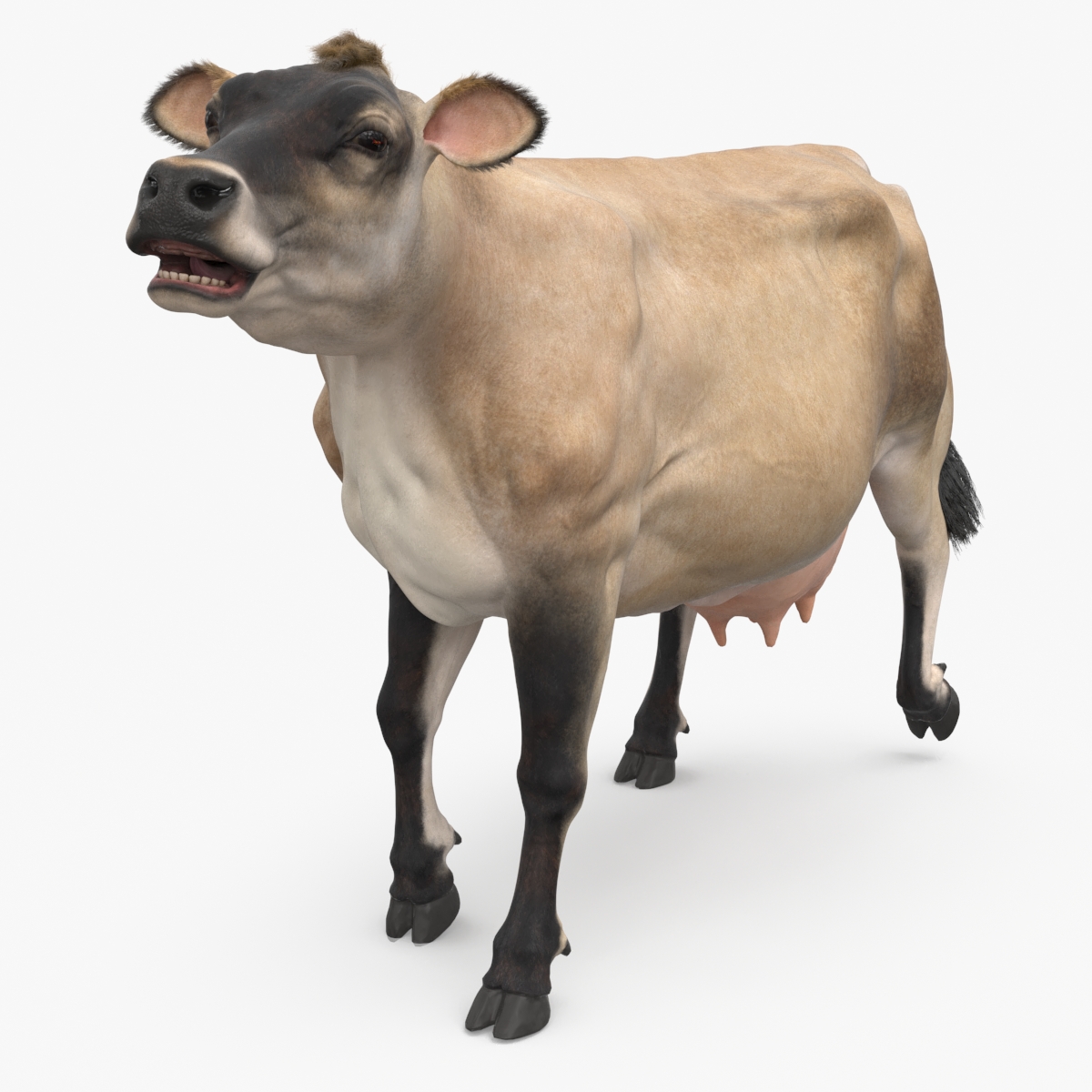 3D model Cream Cow Fur Rigged