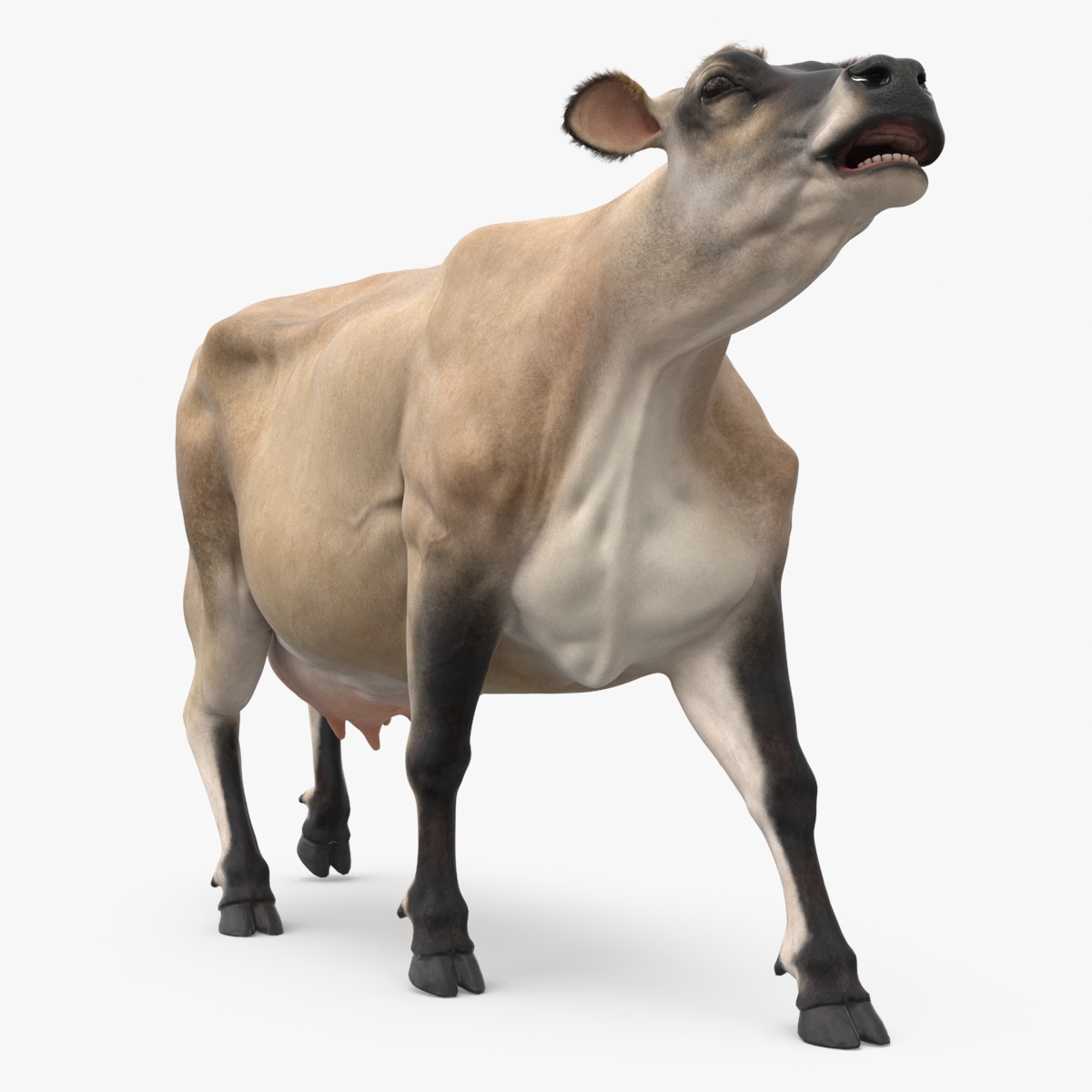 3D model Cream Cow Fur Rigged