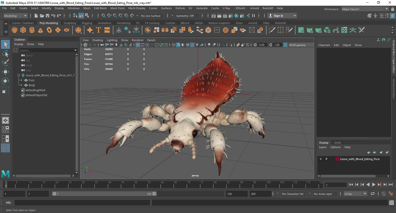 Louse with Blood Eating Pose SSS 3D