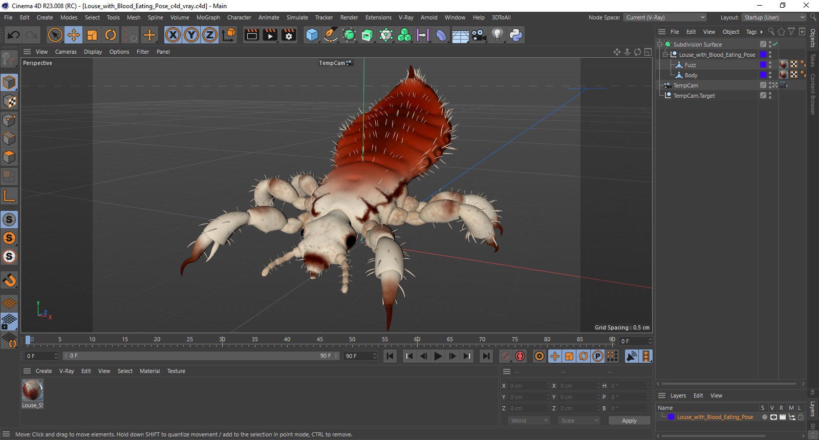 Louse with Blood Eating Pose SSS 3D