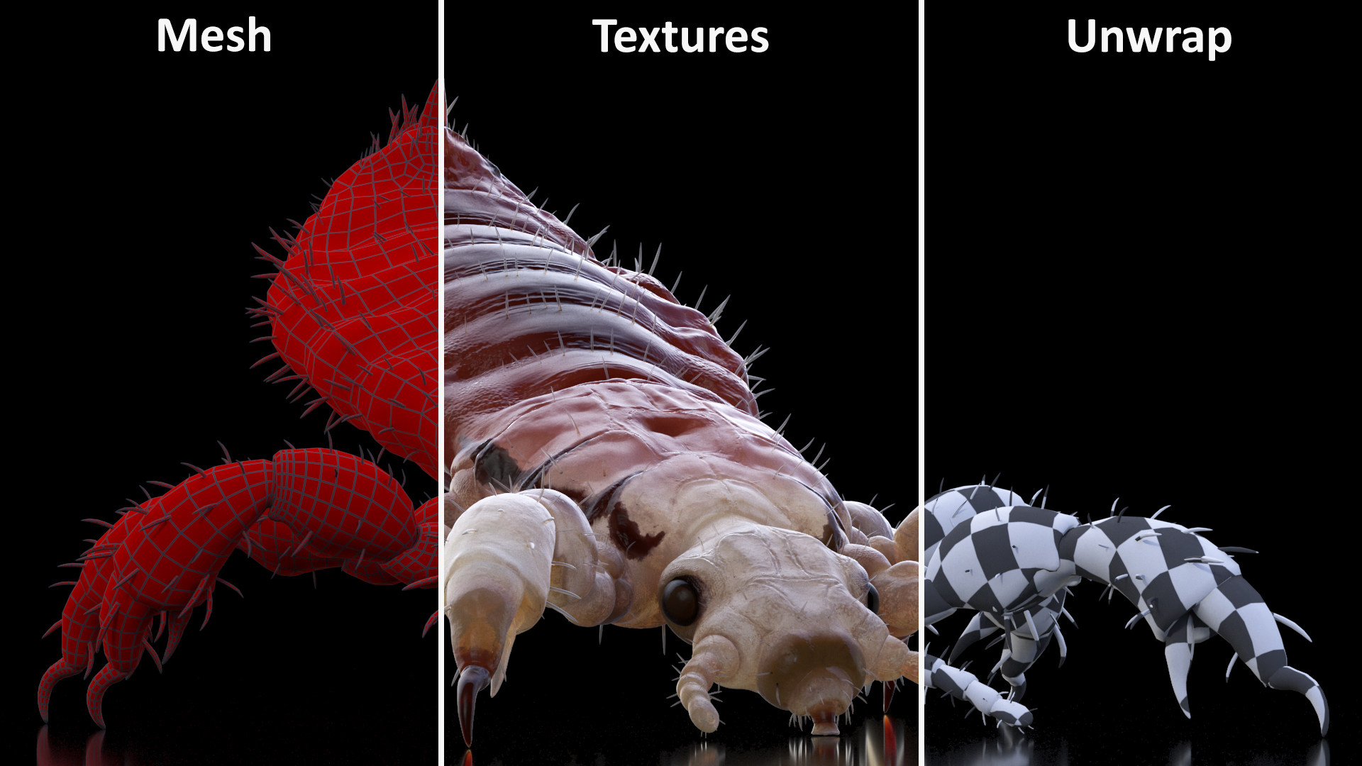 Louse with Blood Eating Pose SSS 3D
