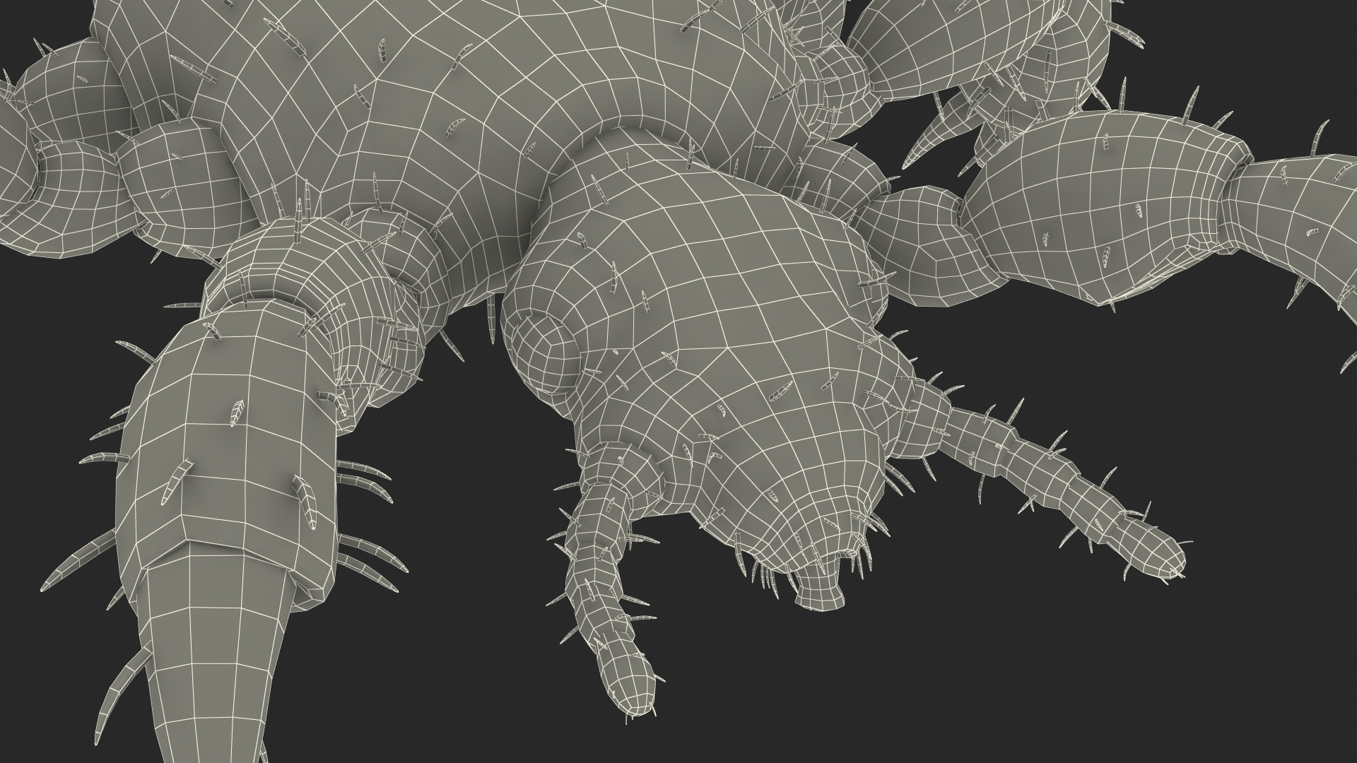 Louse with Blood Eating Pose SSS 3D