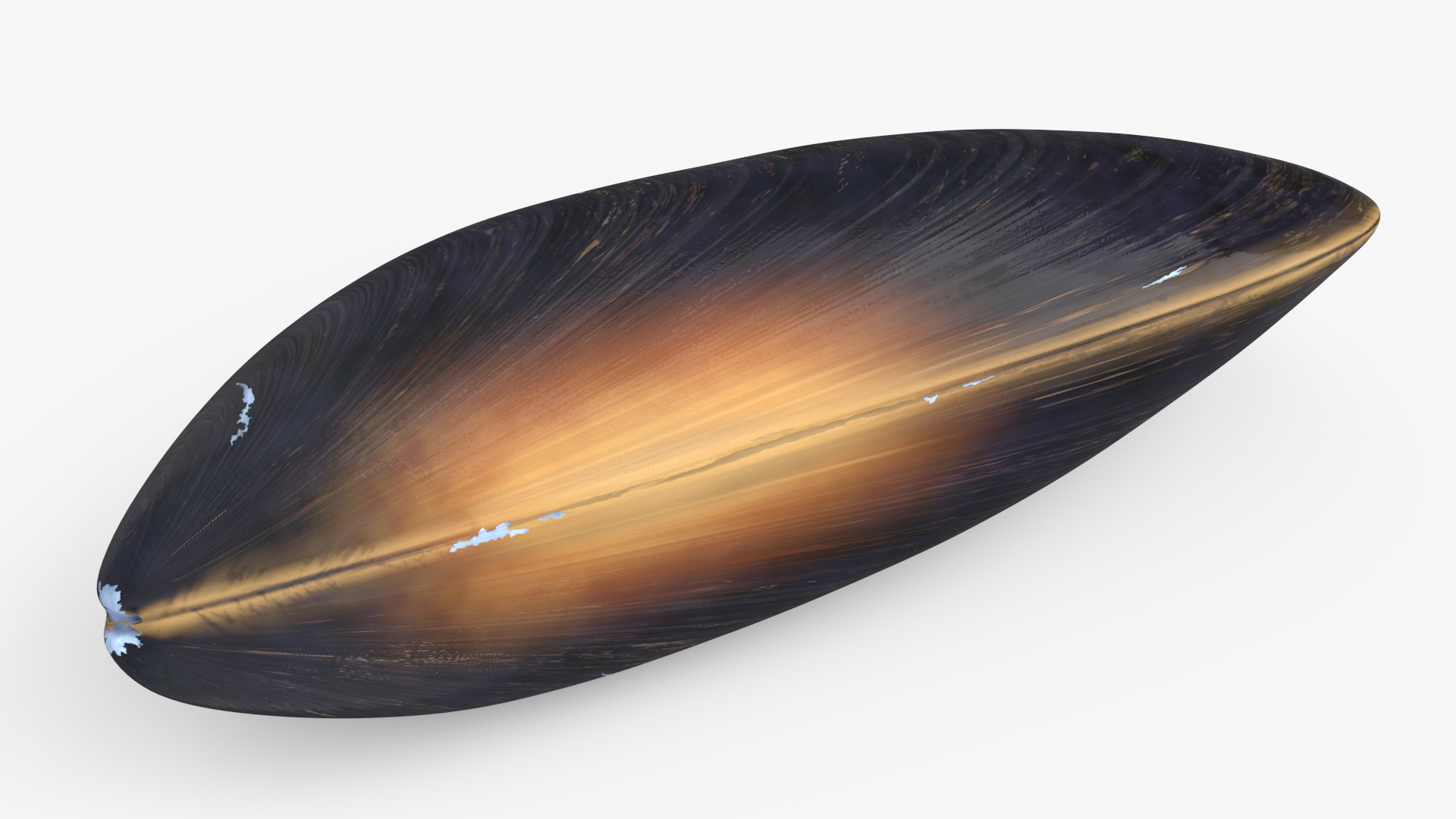 3D model Realistic Clam Shell