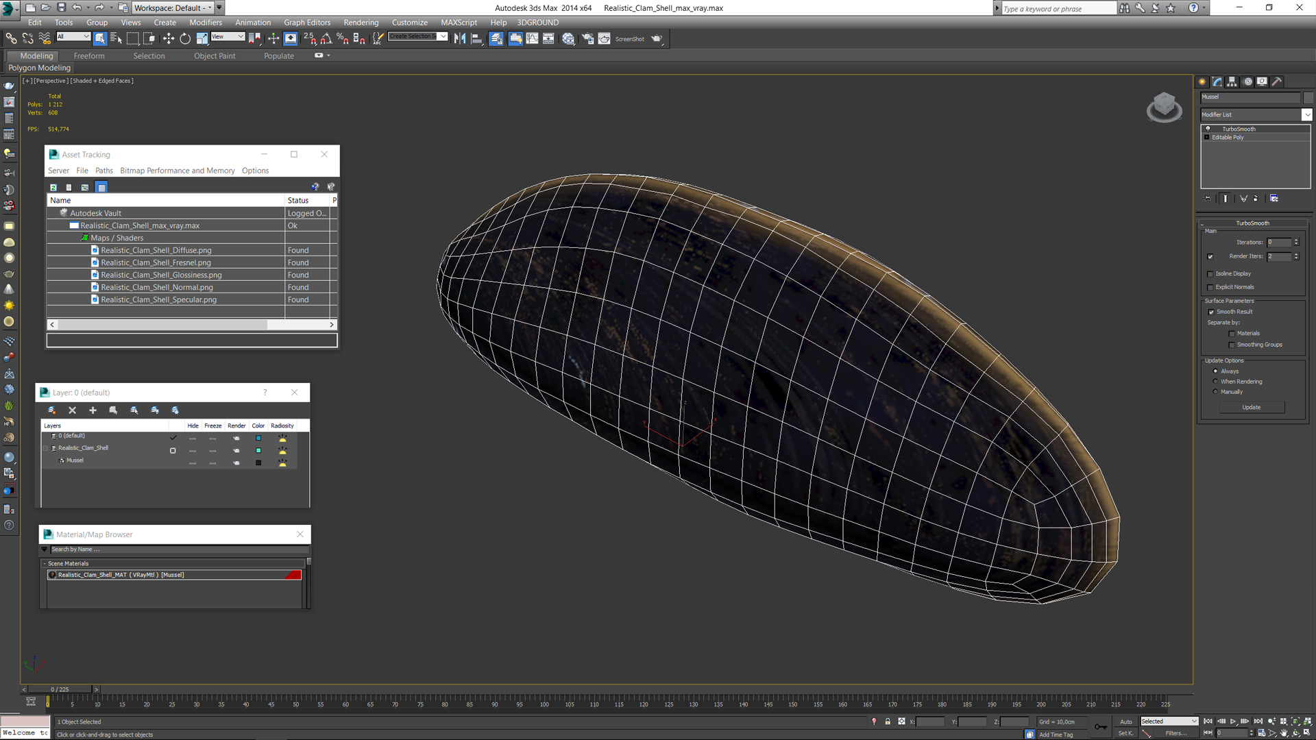 3D model Realistic Clam Shell