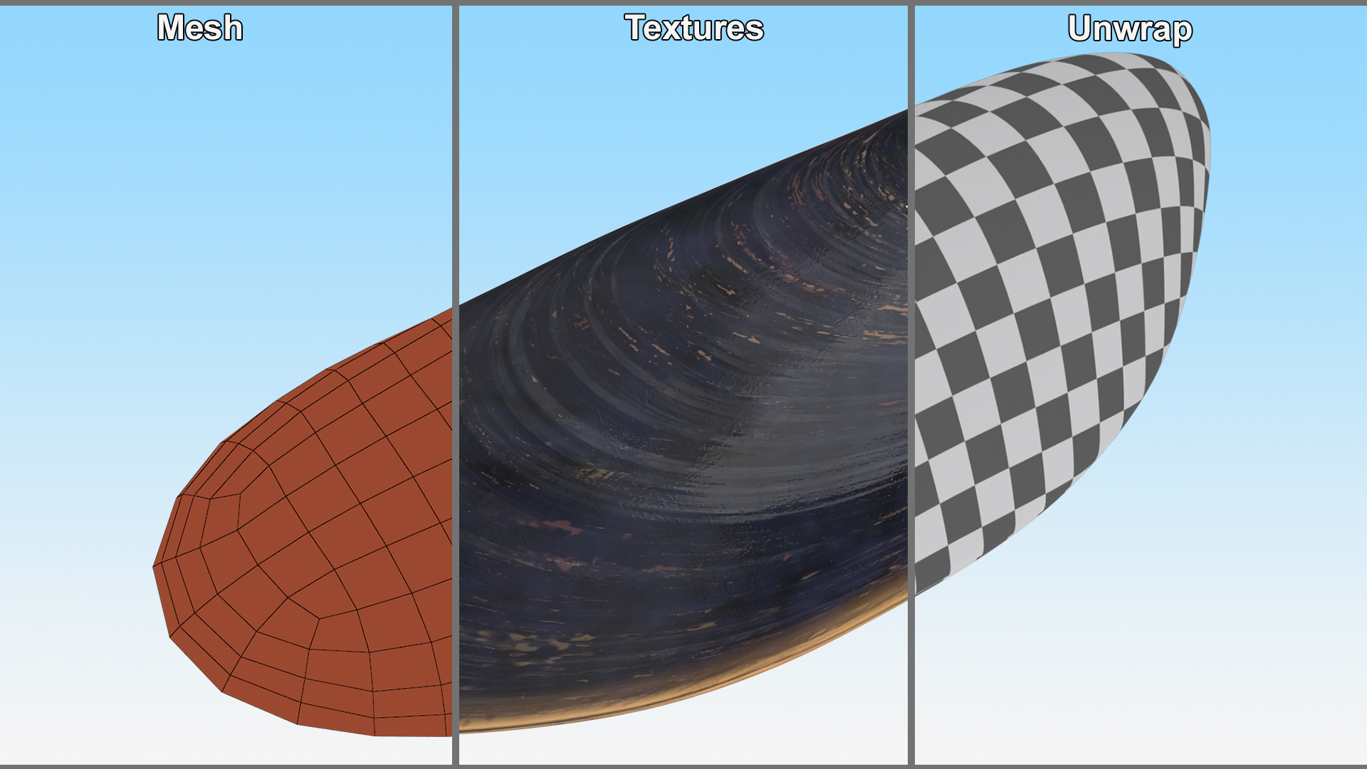 3D model Realistic Clam Shell