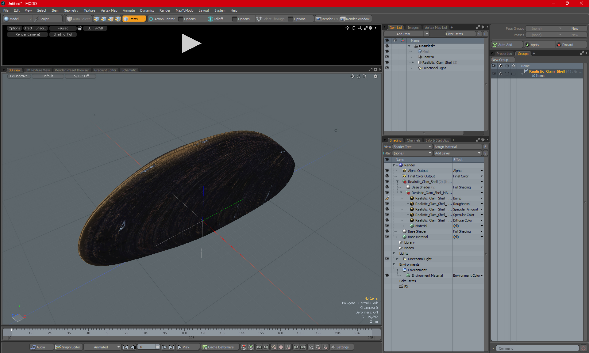 3D model Realistic Clam Shell