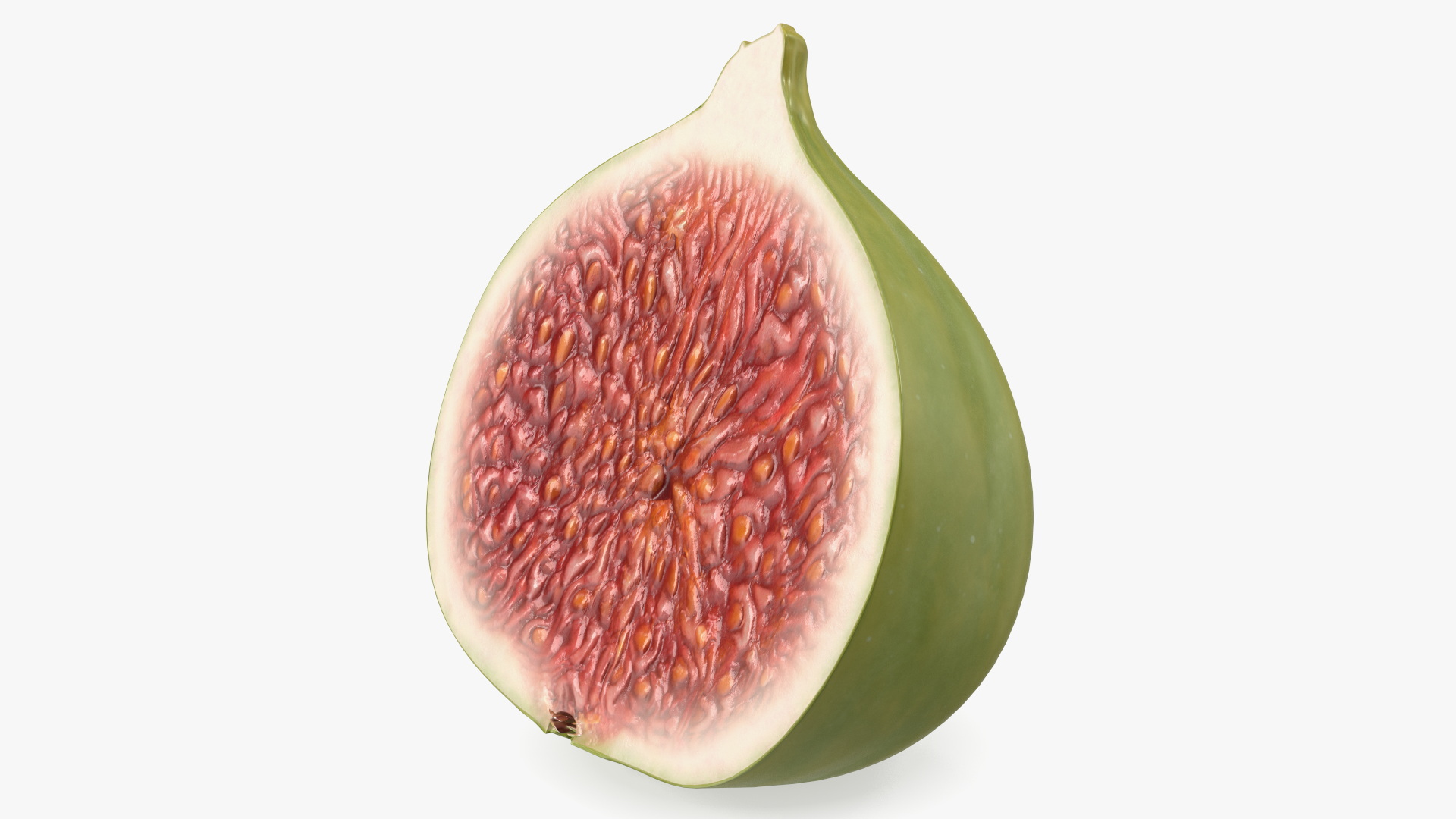 3D Ficus Carica Green Half model