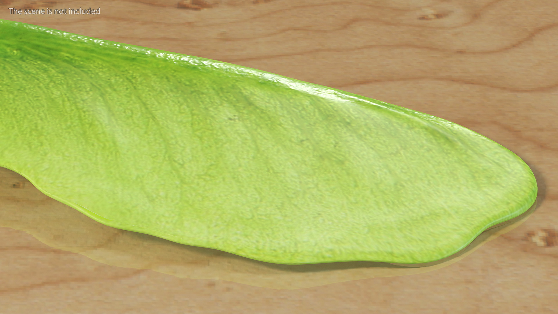 Green Maple Seeds 3D