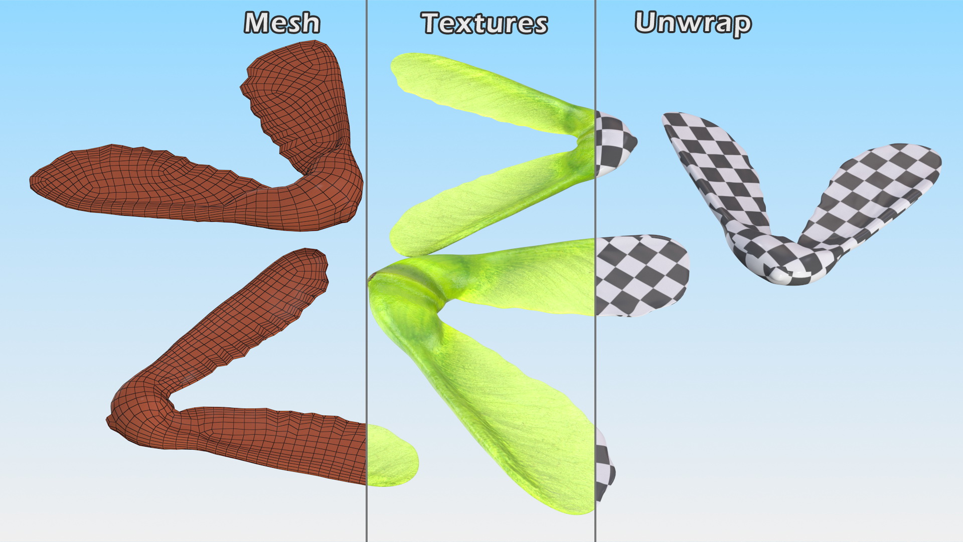 Green Maple Seeds 3D