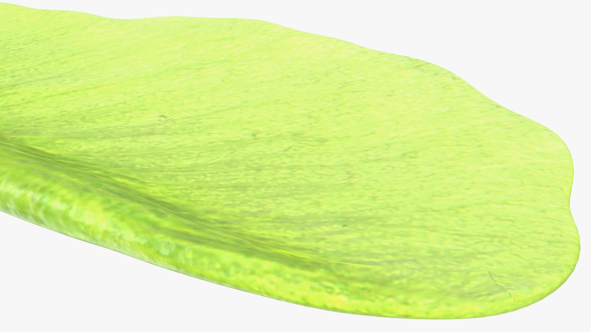 Green Maple Seeds 3D