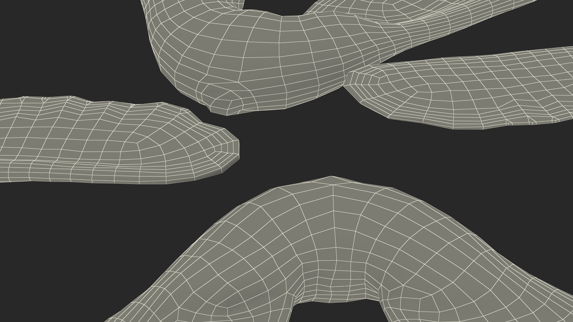 Green Maple Seeds 3D