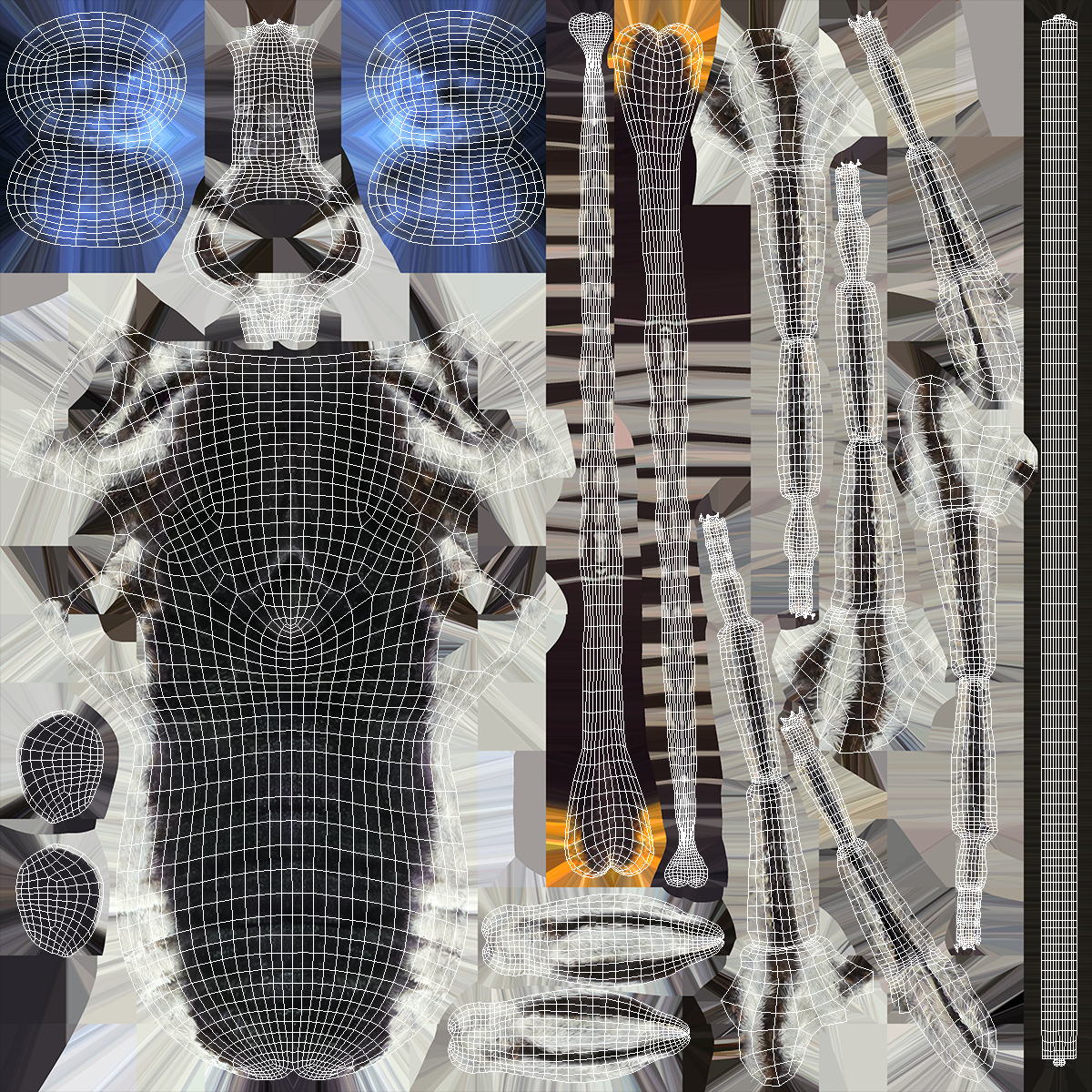 Diaethria Clymena Butterfly 3D