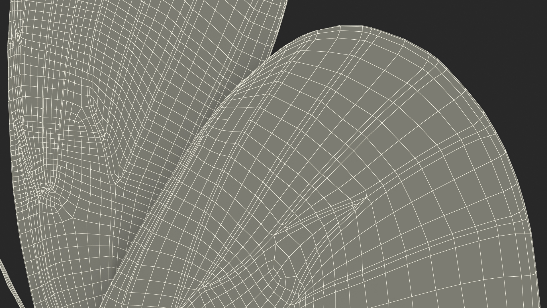 Diaethria Clymena Butterfly 3D