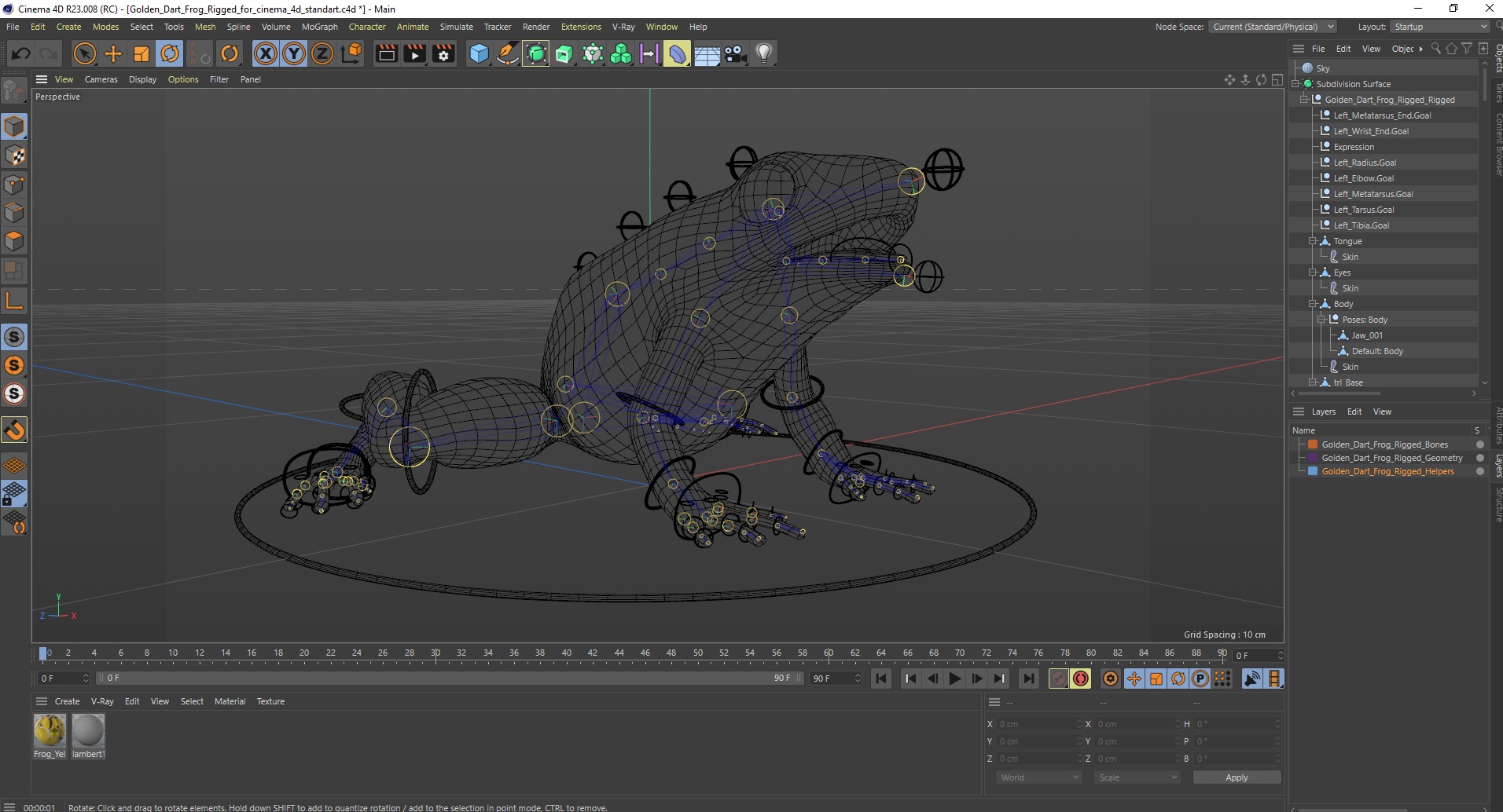 Golden Dart Frog Rigged for Cinema 4D 3D