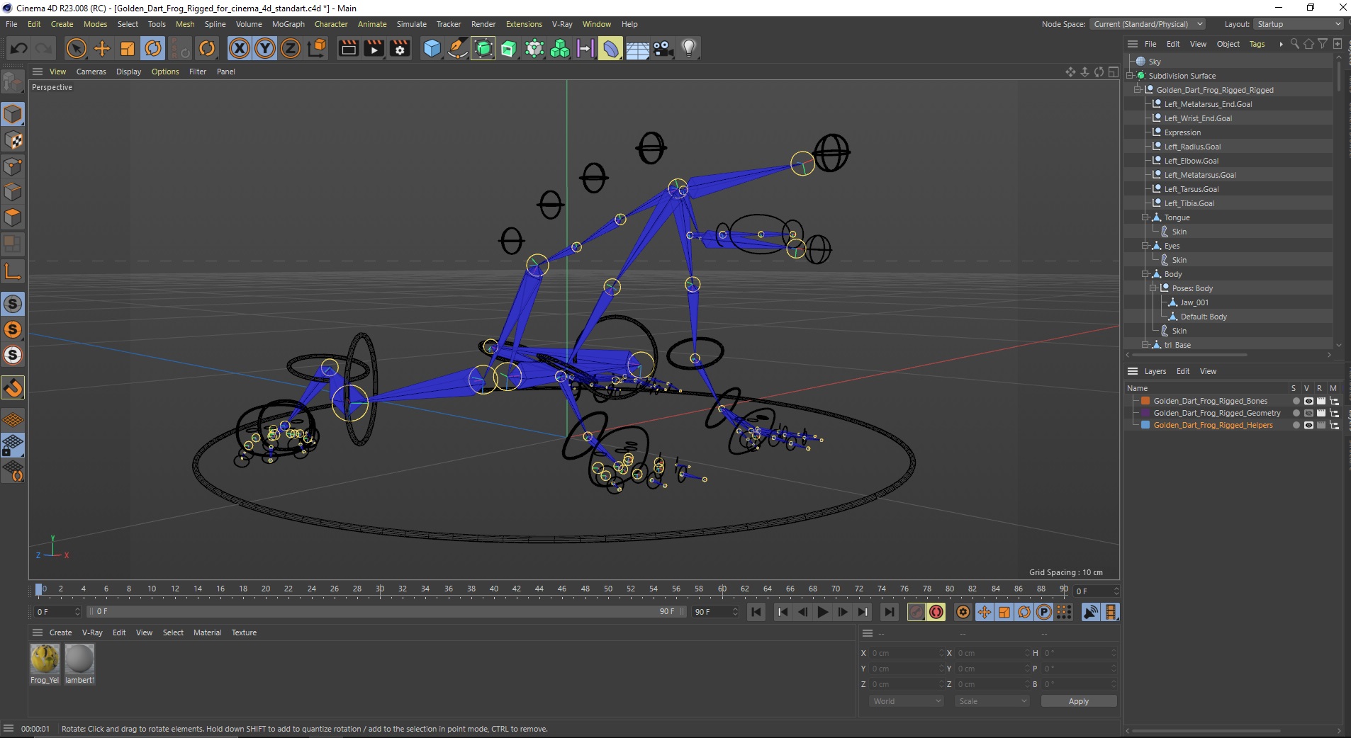 Golden Dart Frog Rigged for Cinema 4D 3D