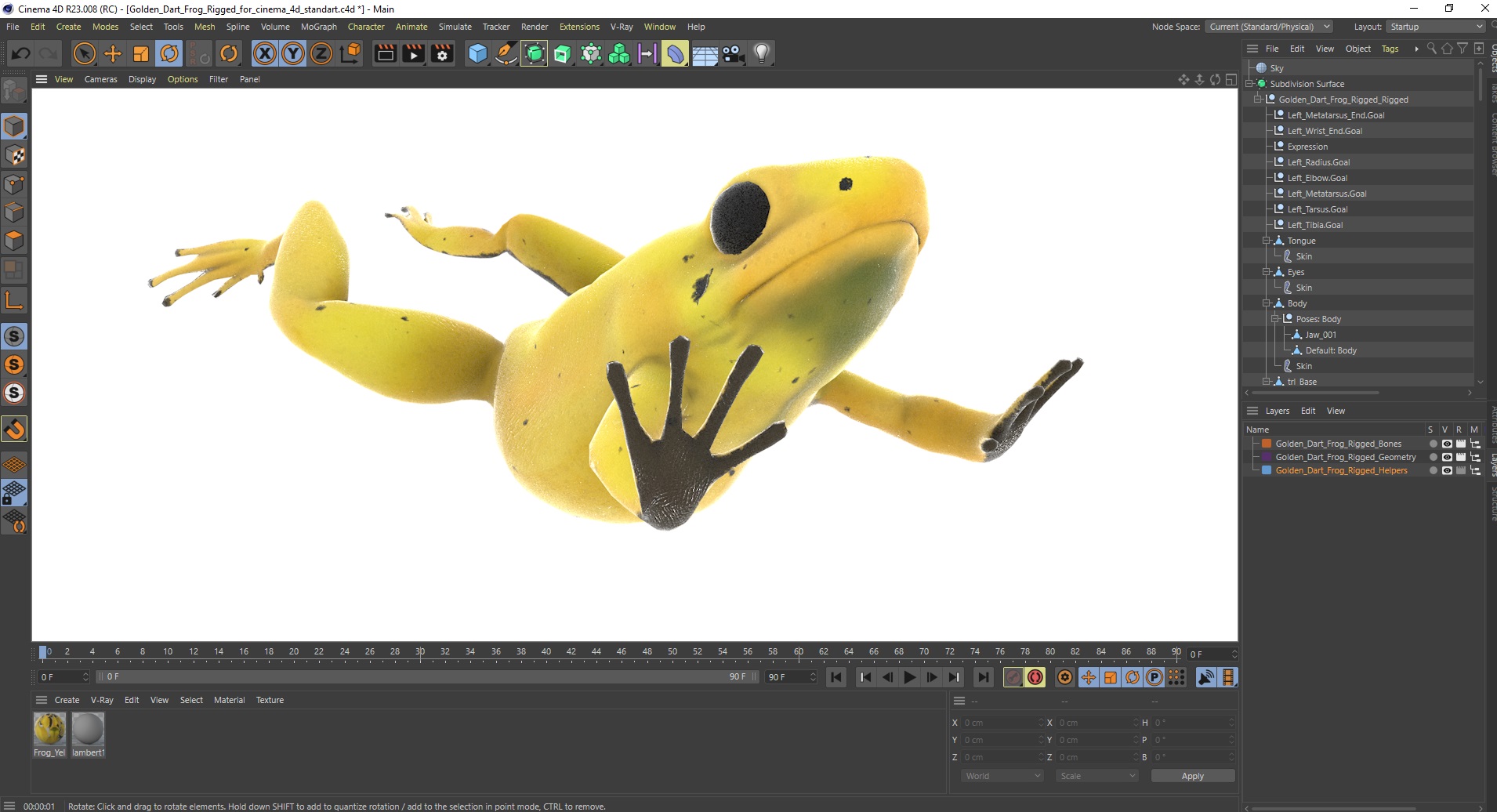 Golden Dart Frog Rigged for Cinema 4D 3D