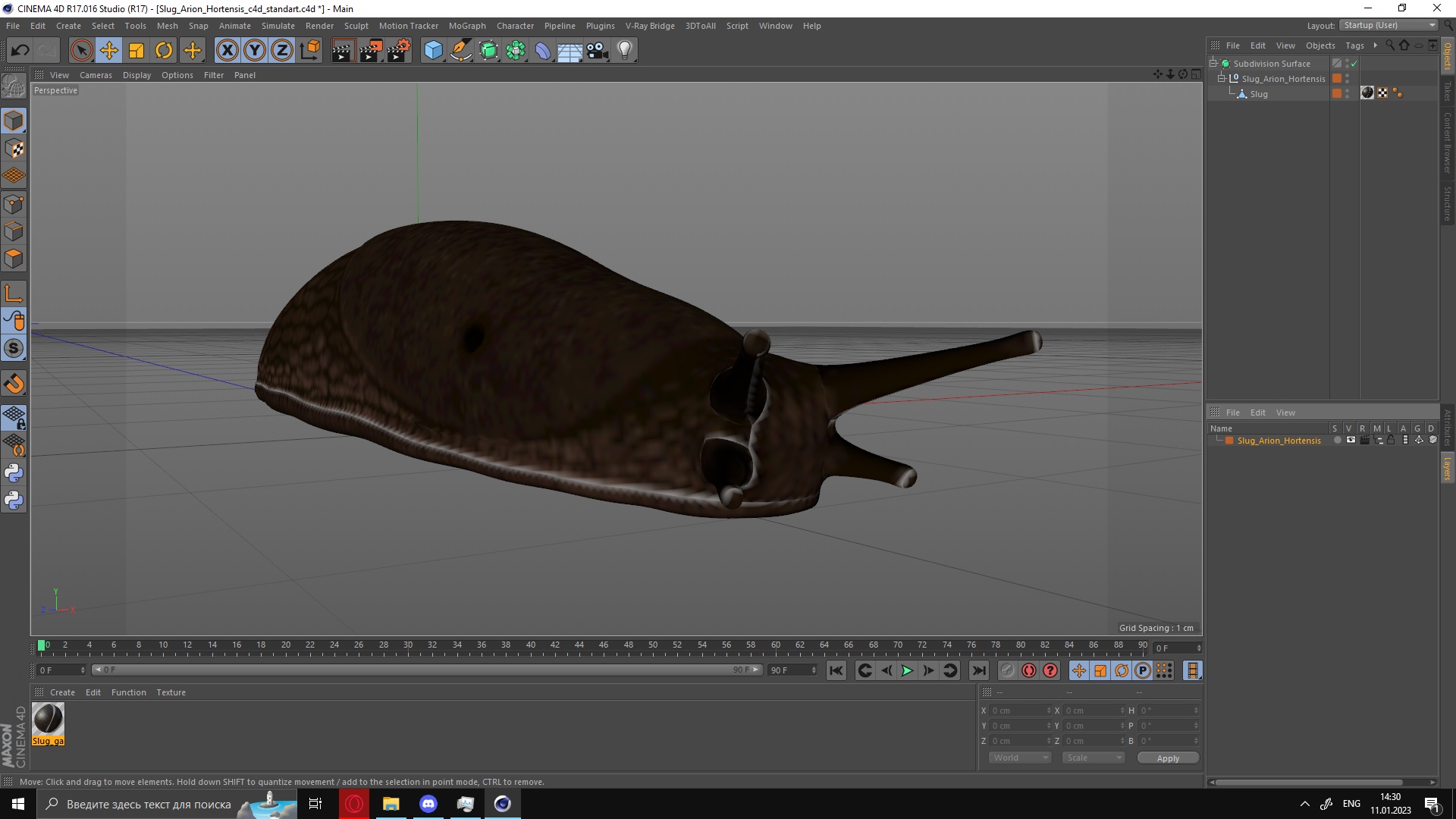 3D model Slug Arion Hortensis