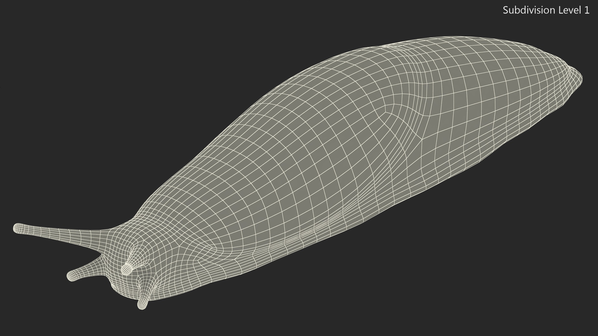 3D model Slug Arion Hortensis